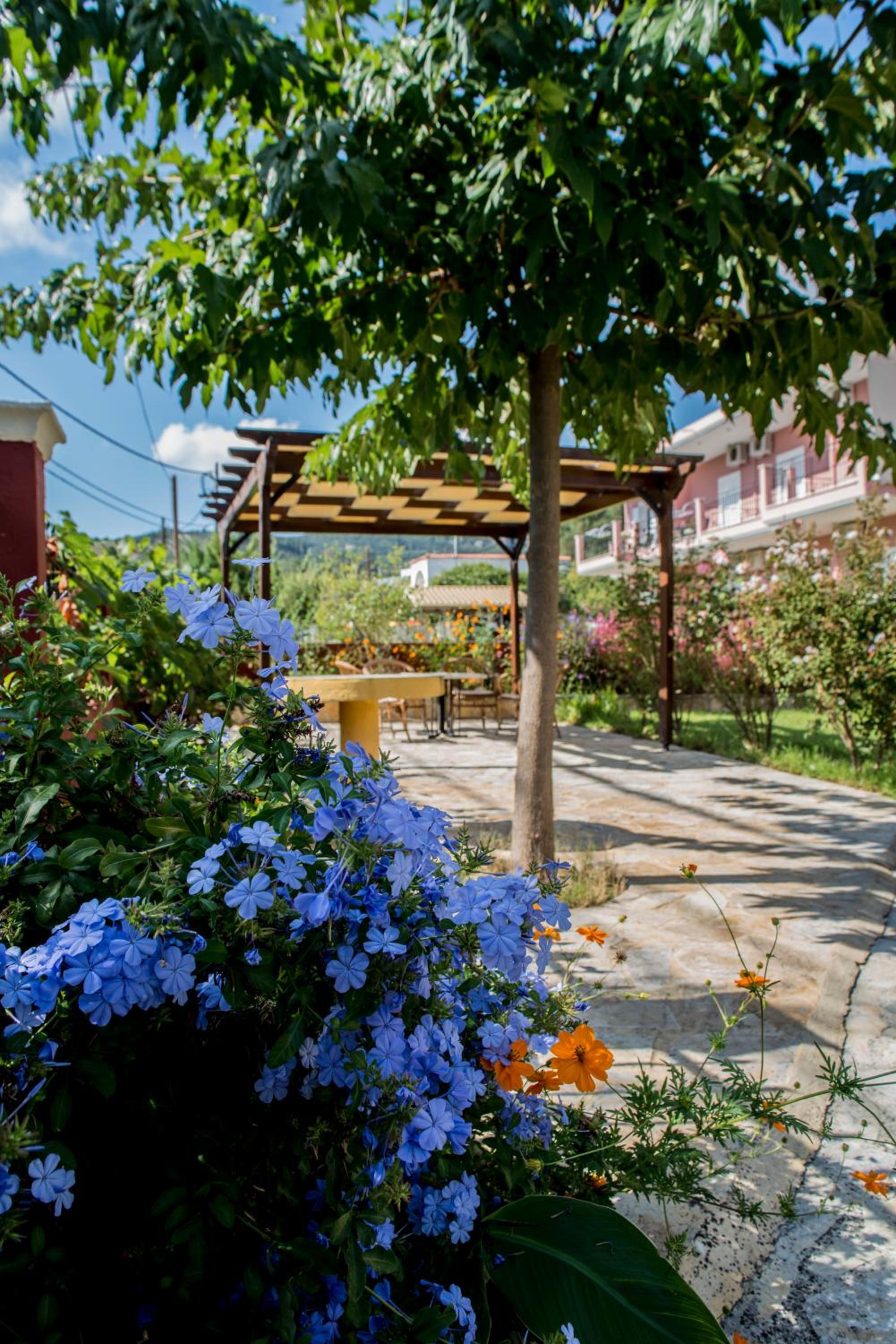 outdoor BBQ area