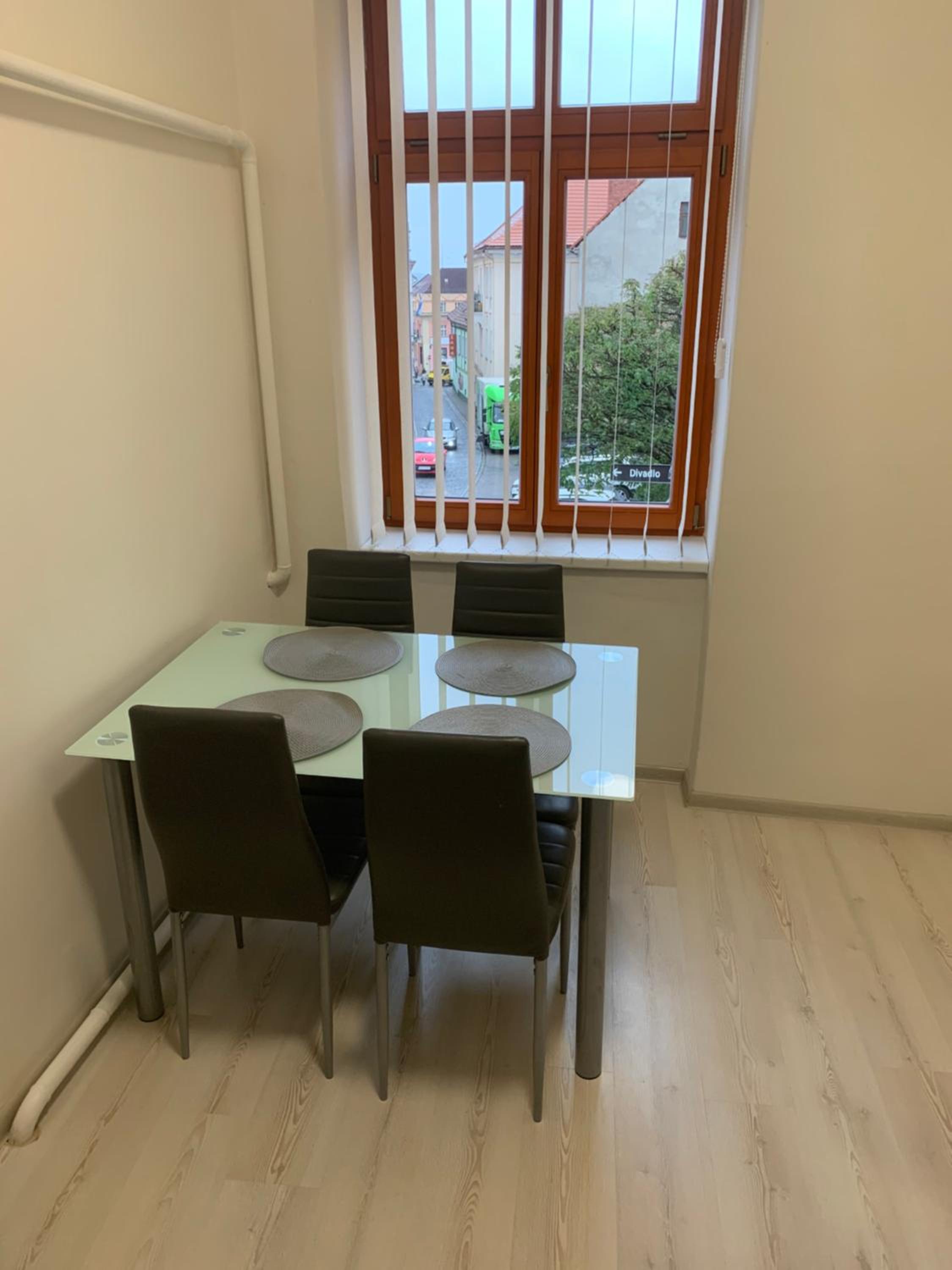 Apartmány Žižkova - ideání pro firmy, photo 28