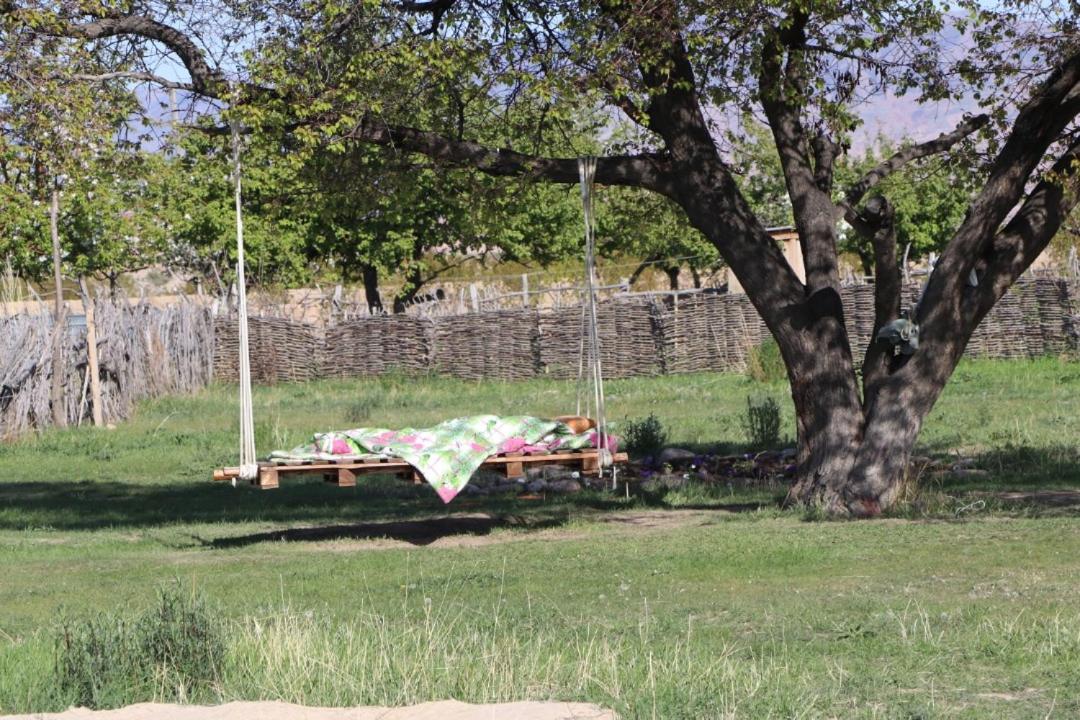 Jurten Camp Almaluu view 3