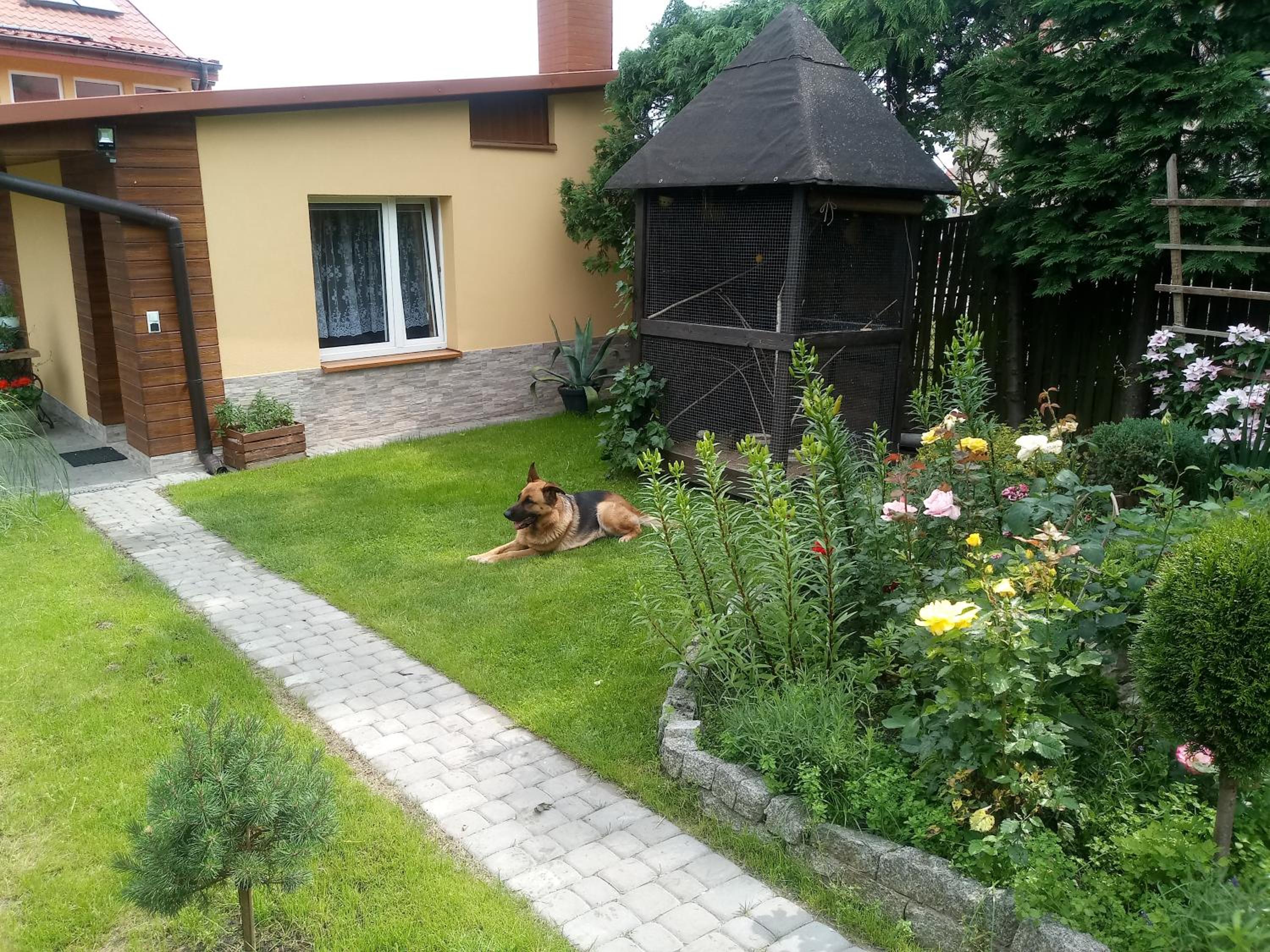 Photo 14