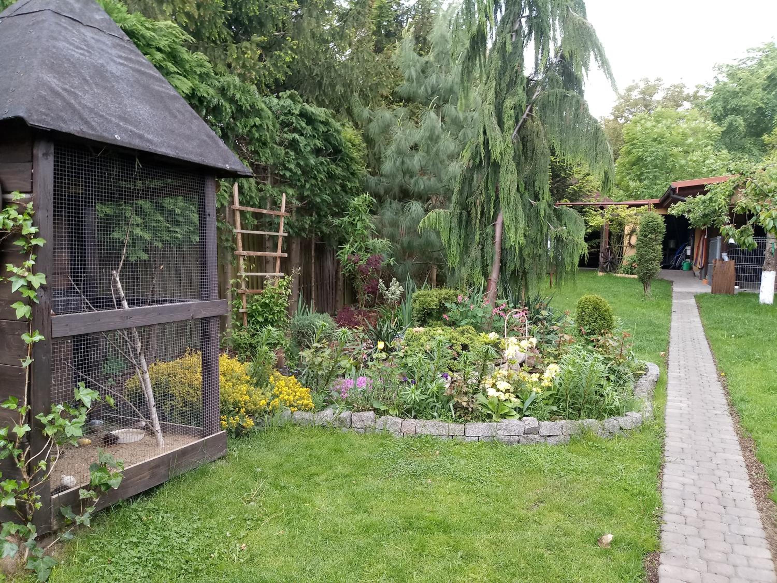 Photo 18