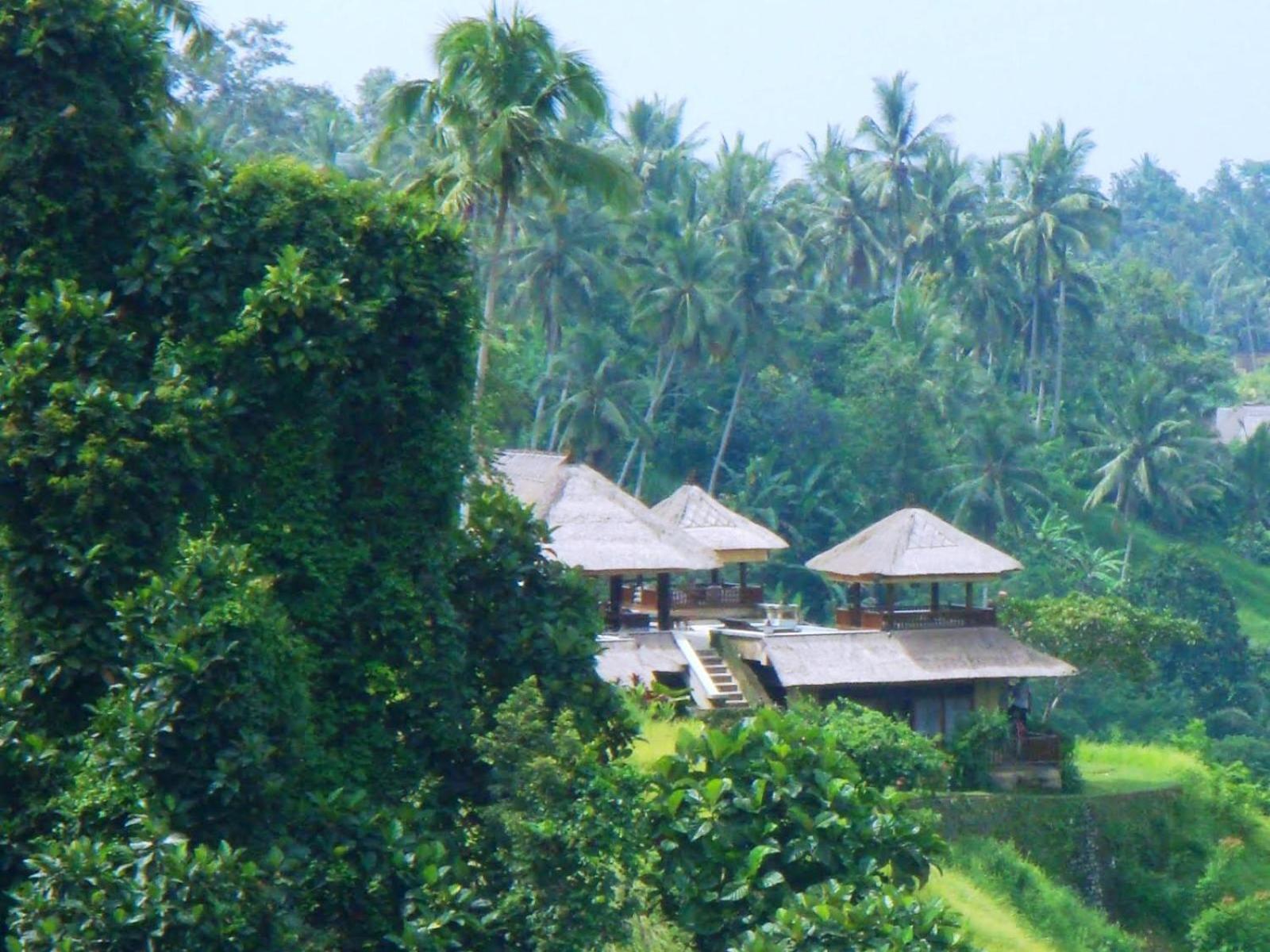 Villa Santai - Image 4