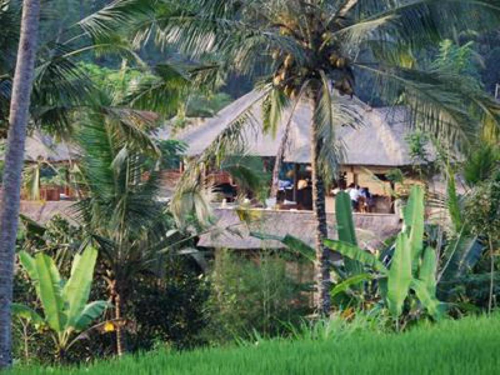 Villa Santai - Image 5