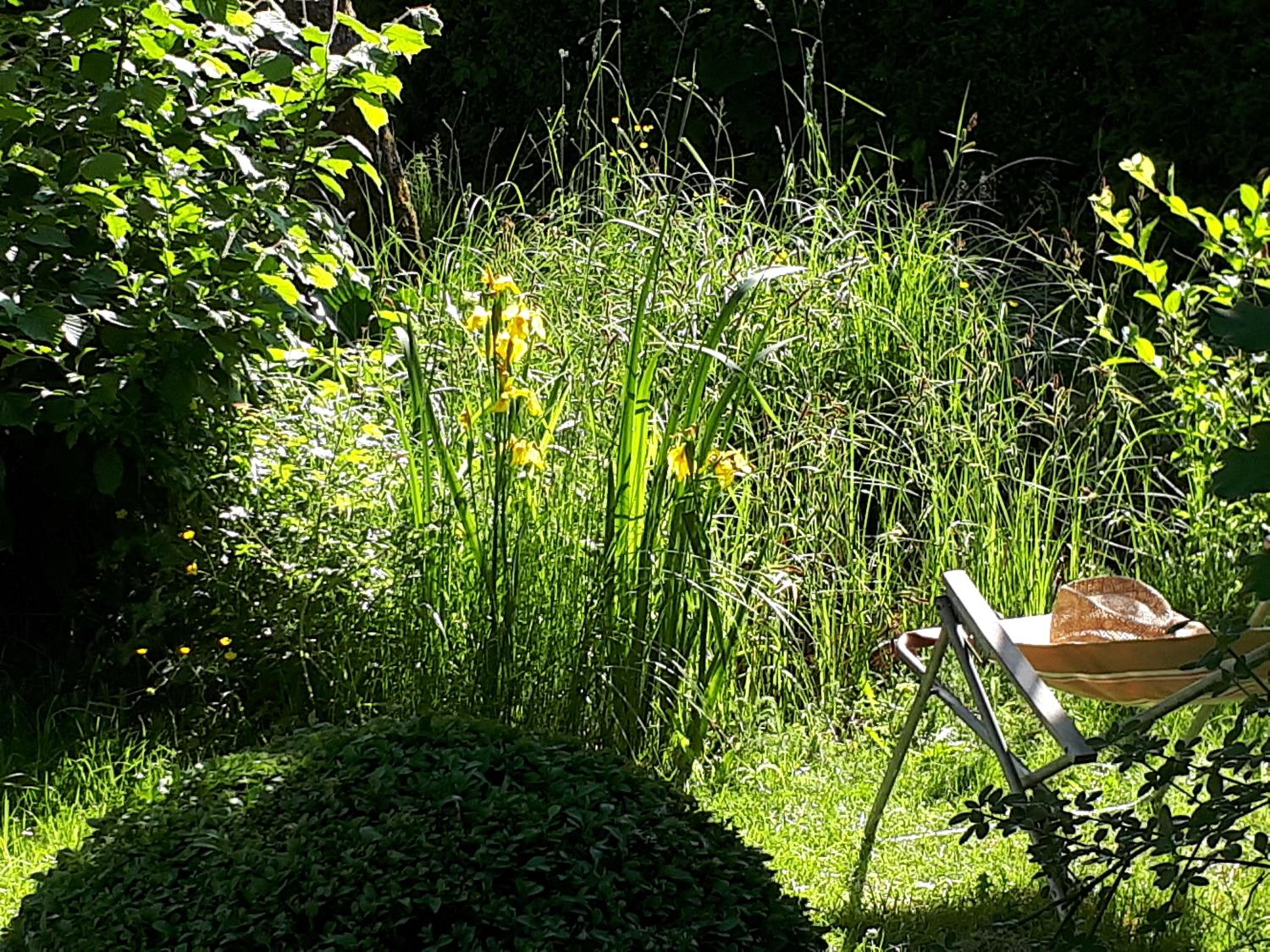 Ferienwohnung am Obstgarten - Property Image 11