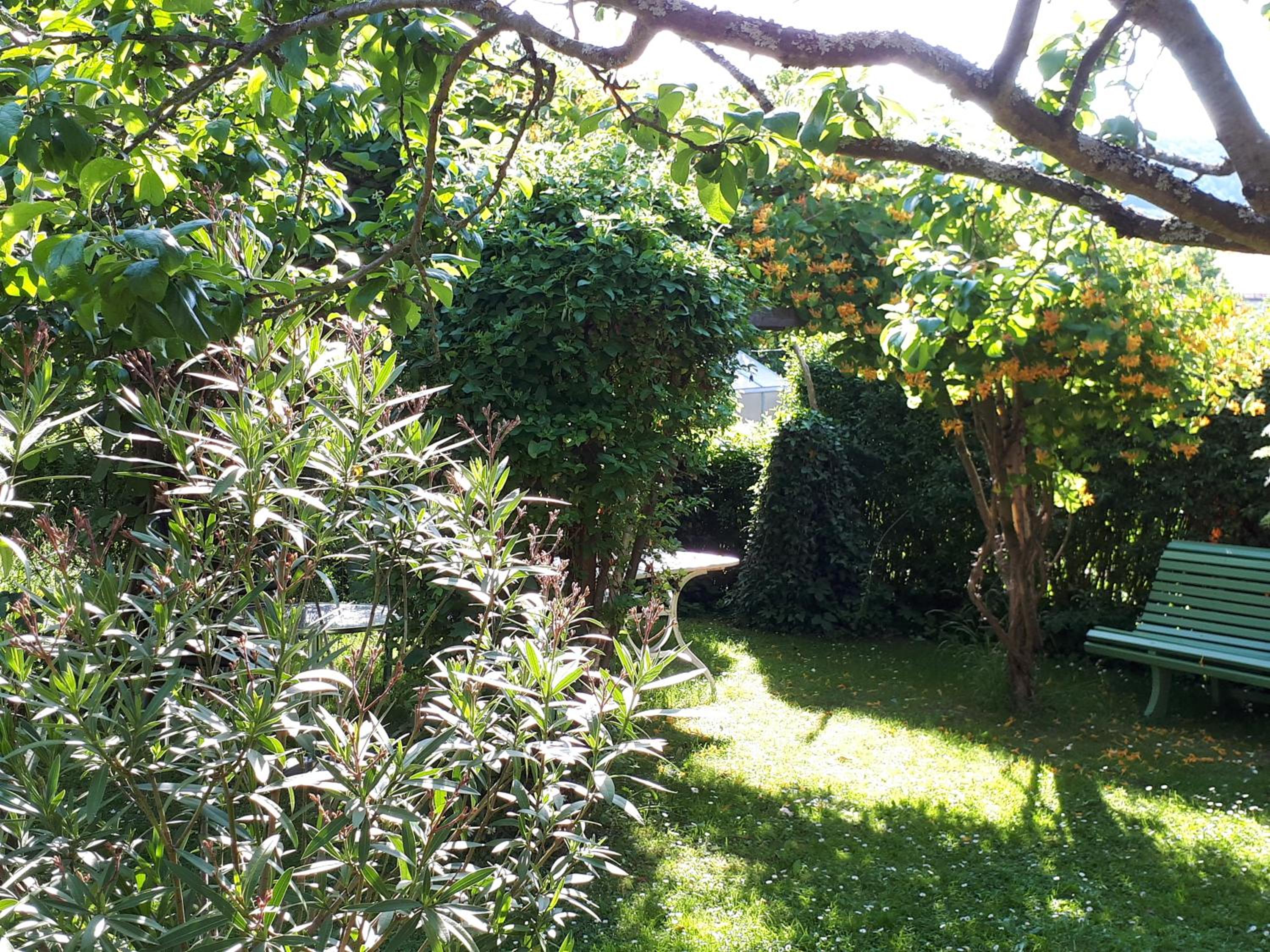 Ferienwohnung am Obstgarten - Property Image 10