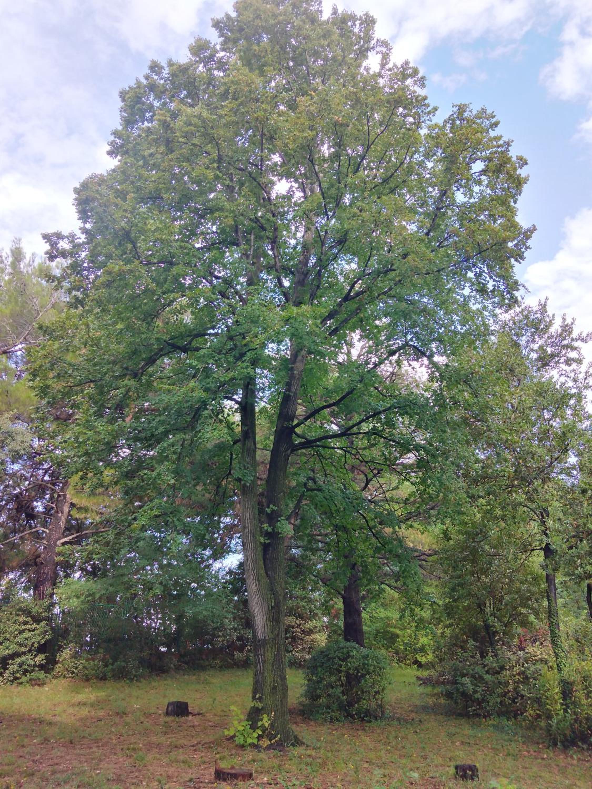 Photo 18