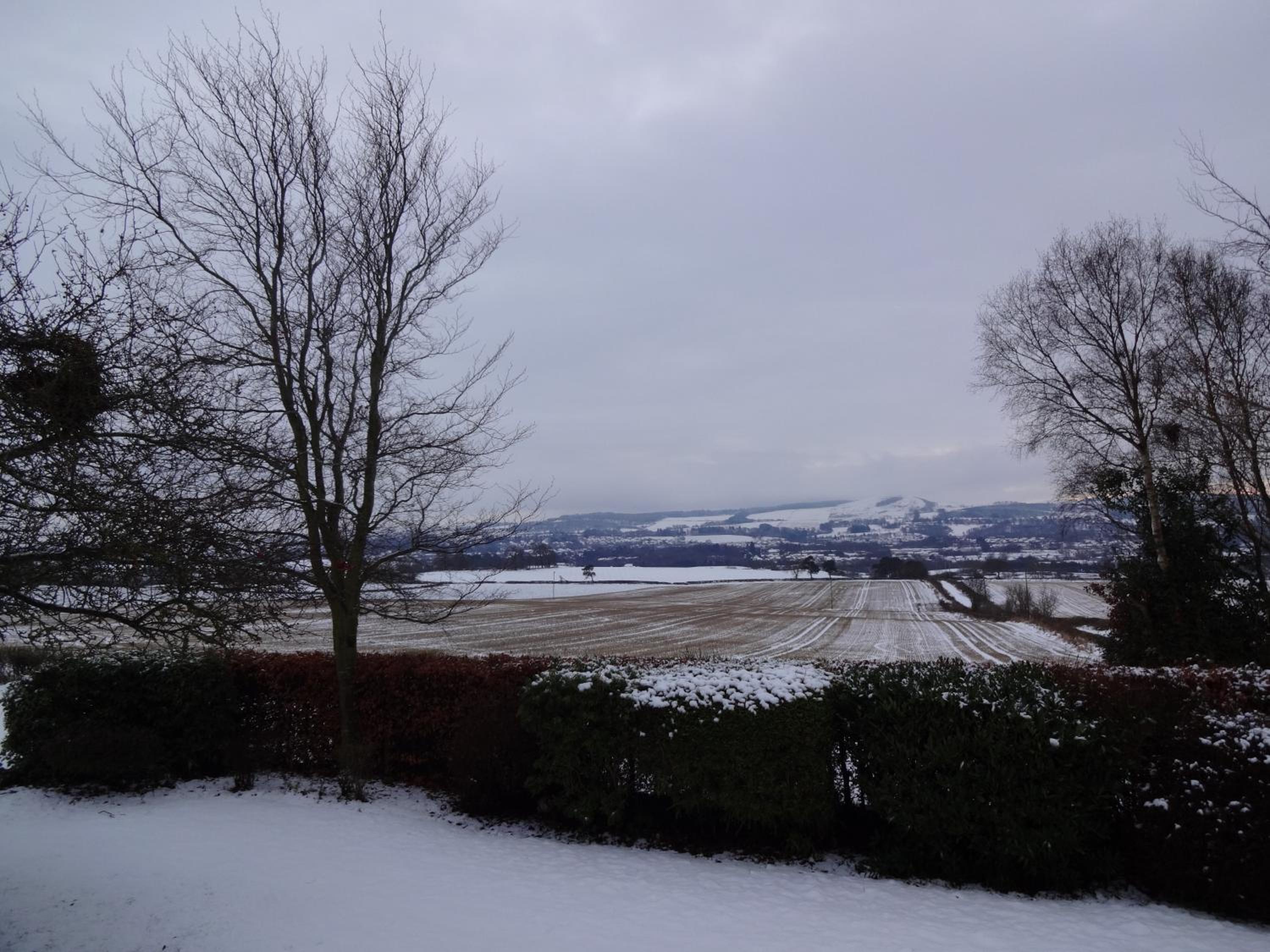 Wester Muirhouse