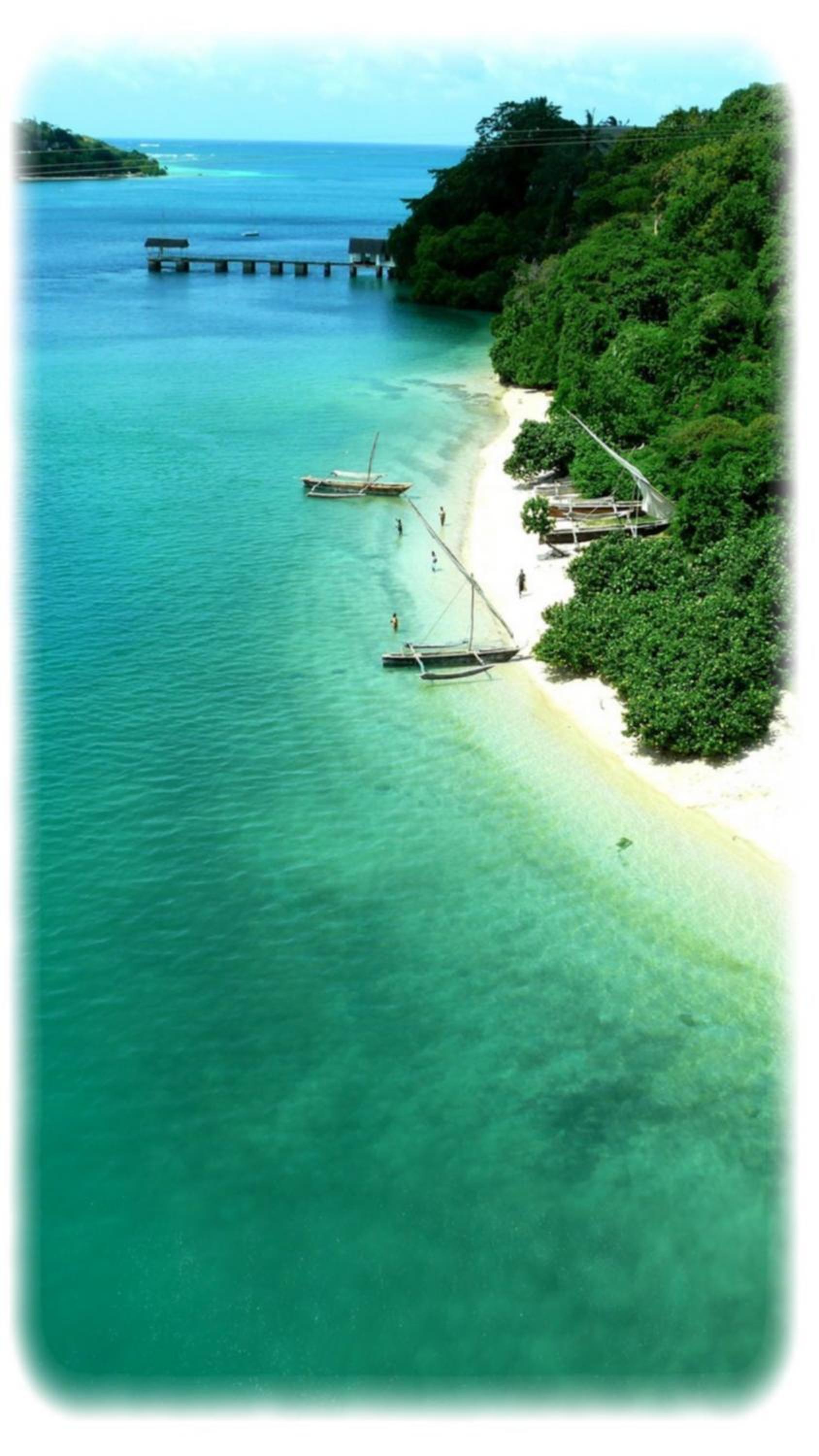 Distant Relatives Ecolodge & Backpackers