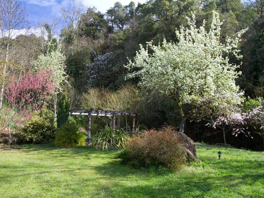 La Yosa de Arguebanes