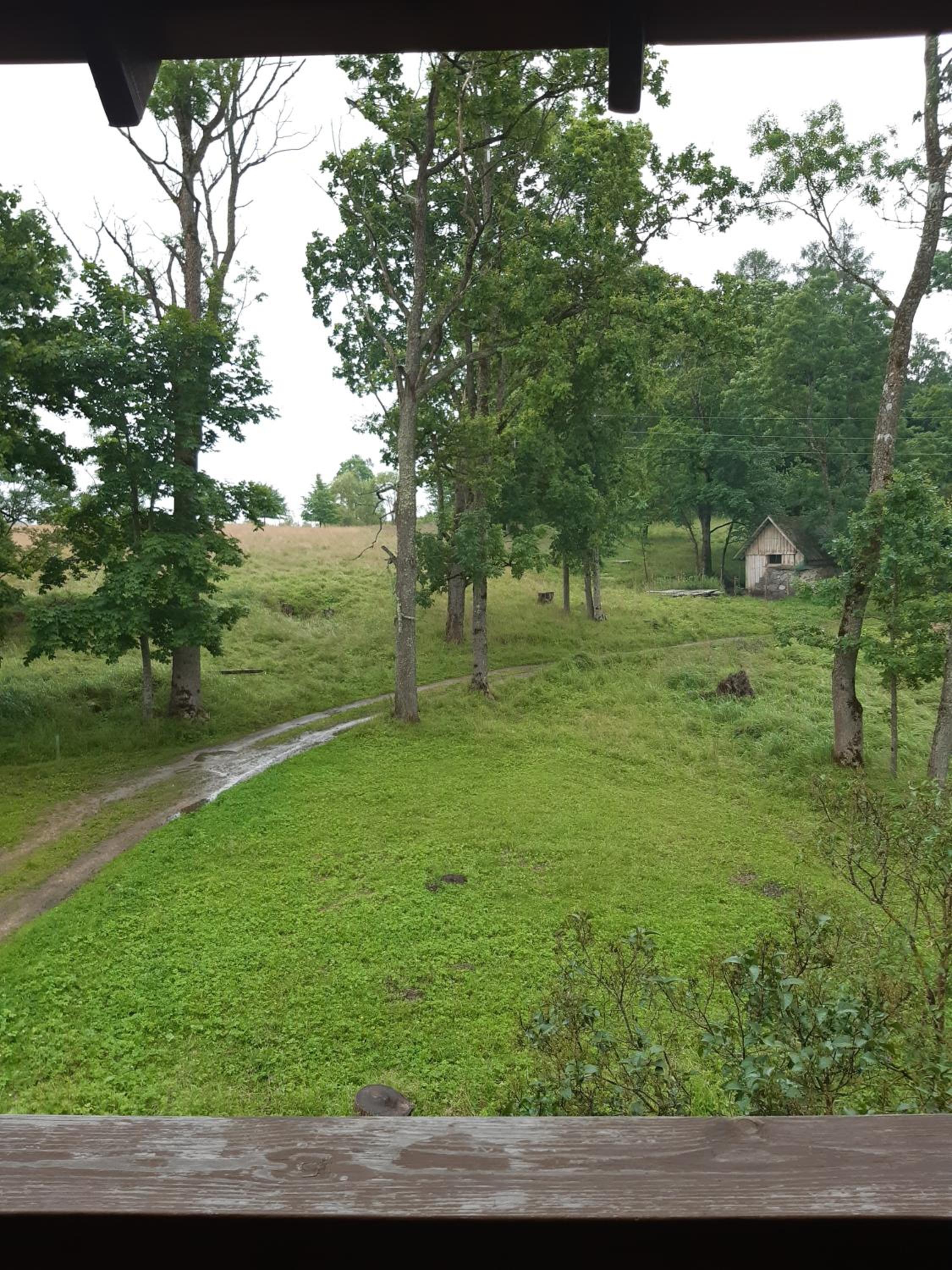 Nature