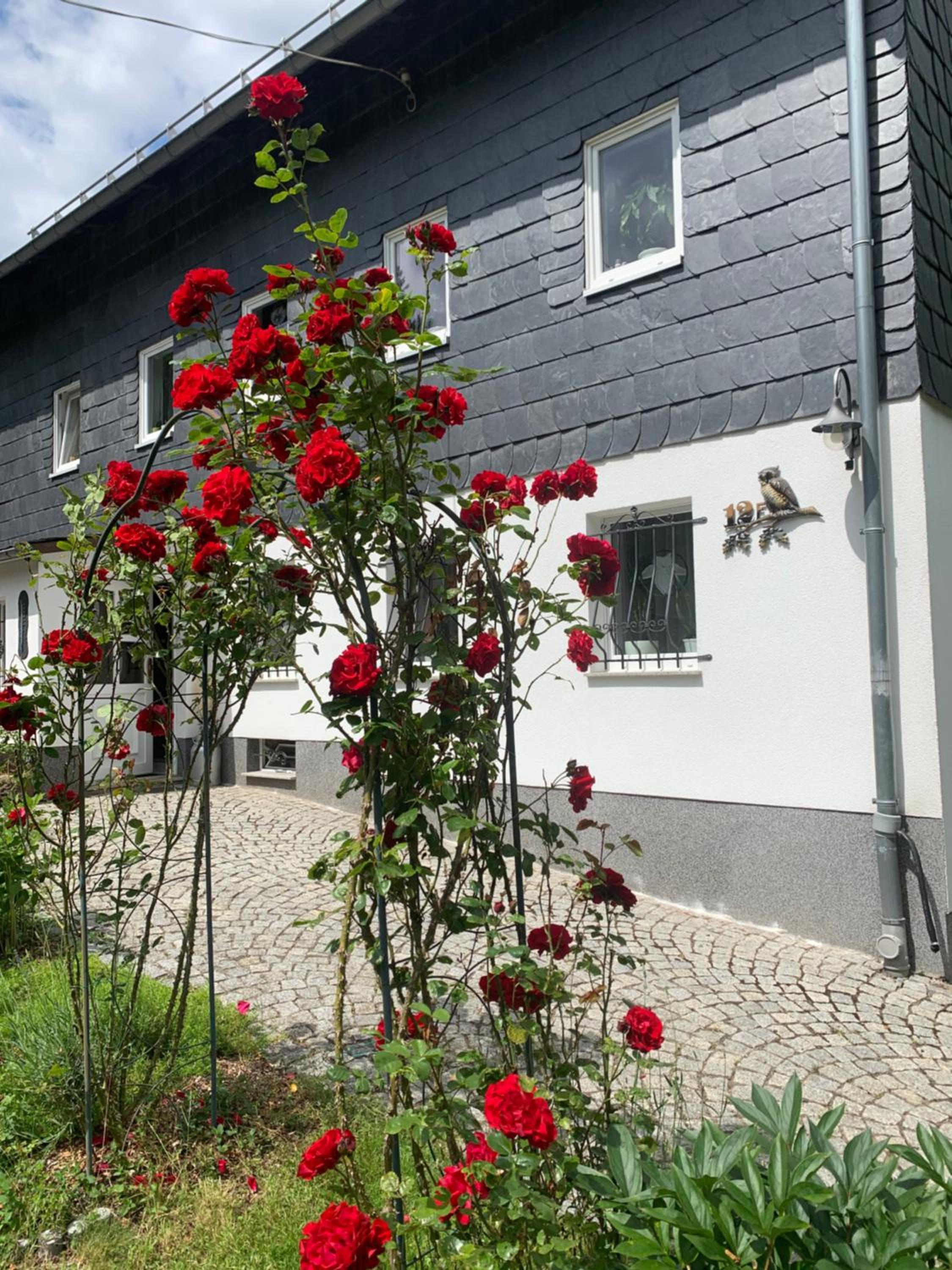 Ferienwohnung Eulennest view 2