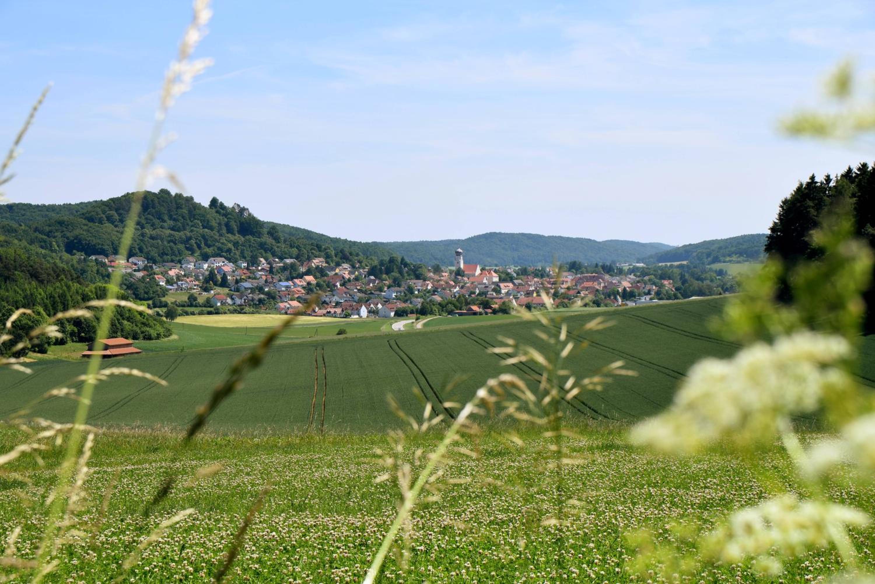 Hotel Gasthof Zum Lowen - Property Image 26