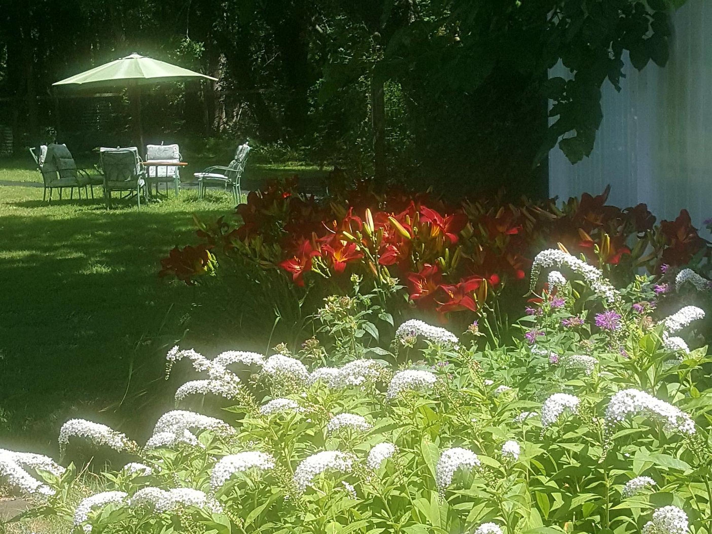 Photo 11