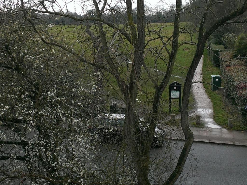 Iolanthe photo 3