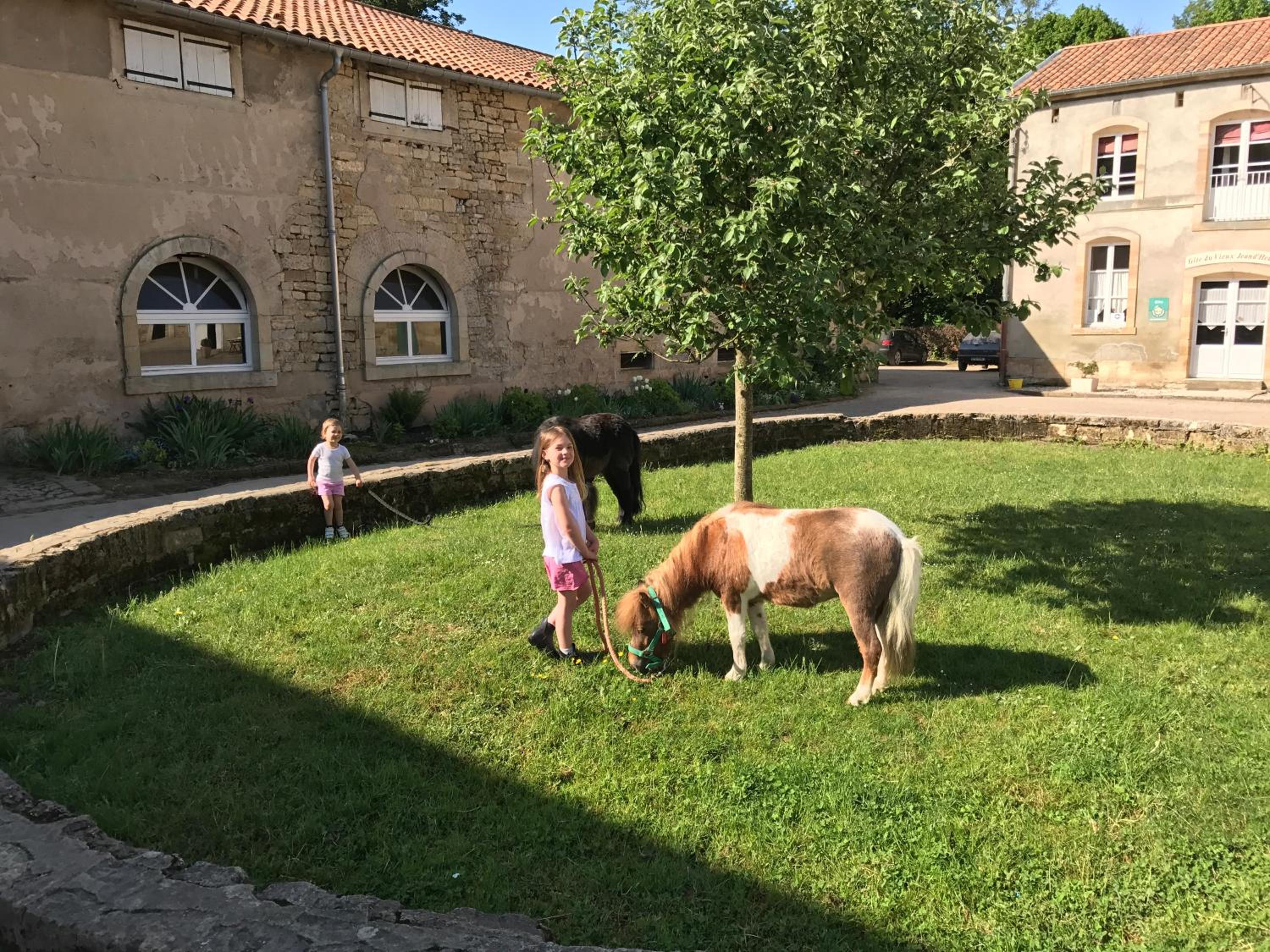 Photo 18