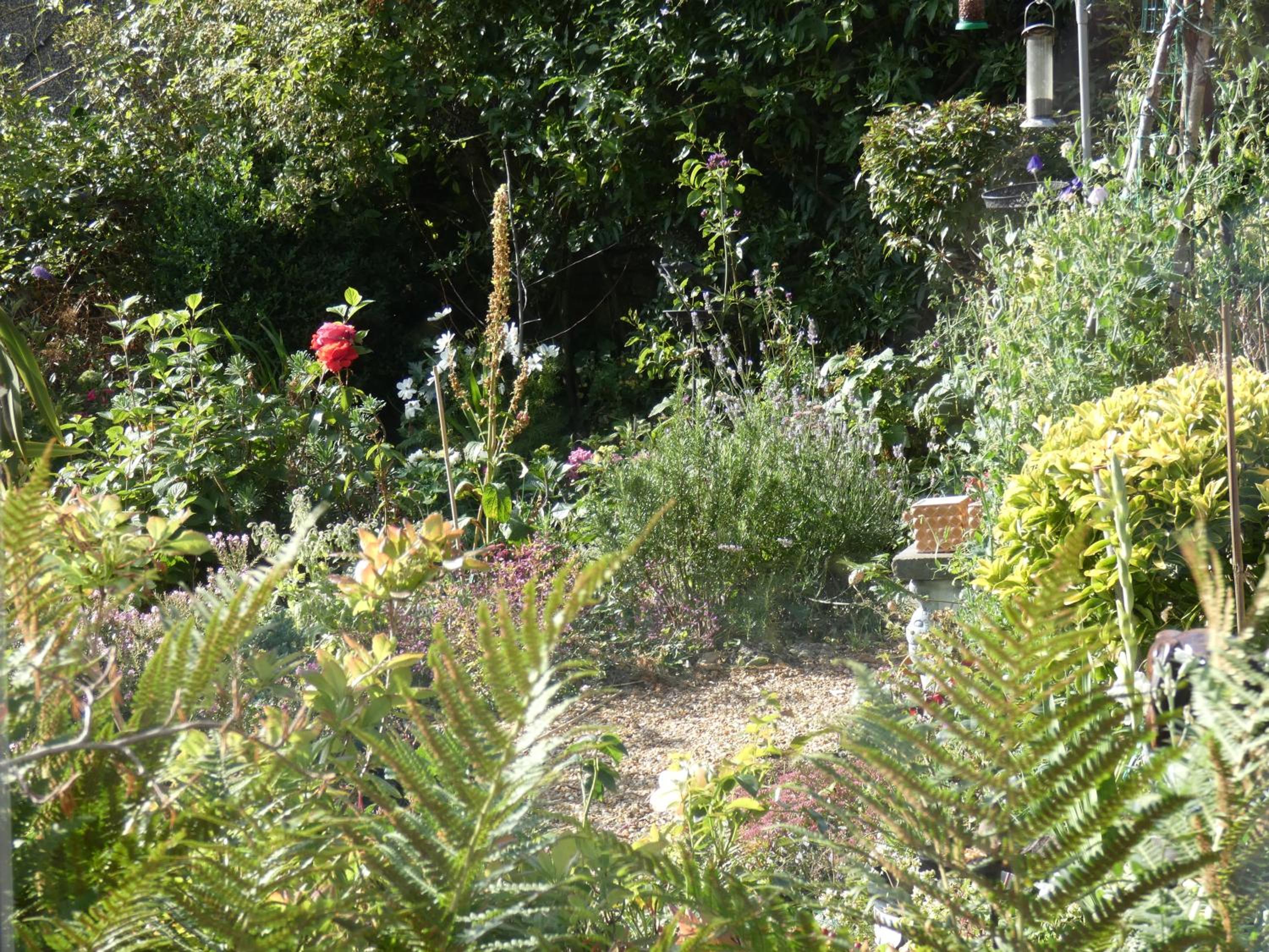 Photo 10