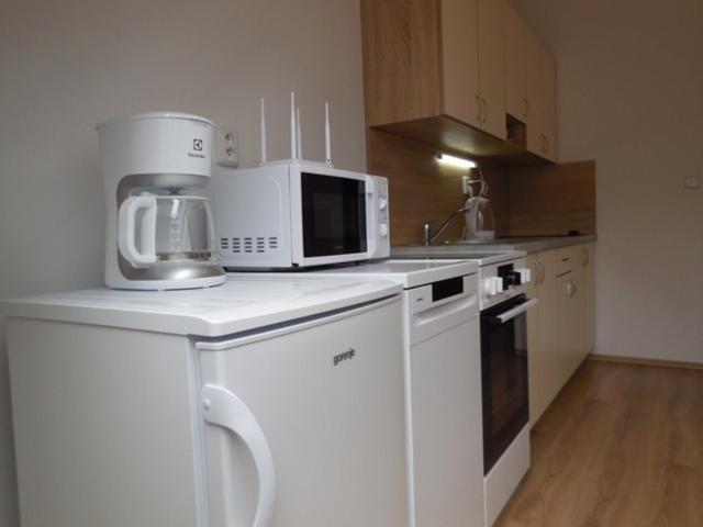 Apartmán Kamenice