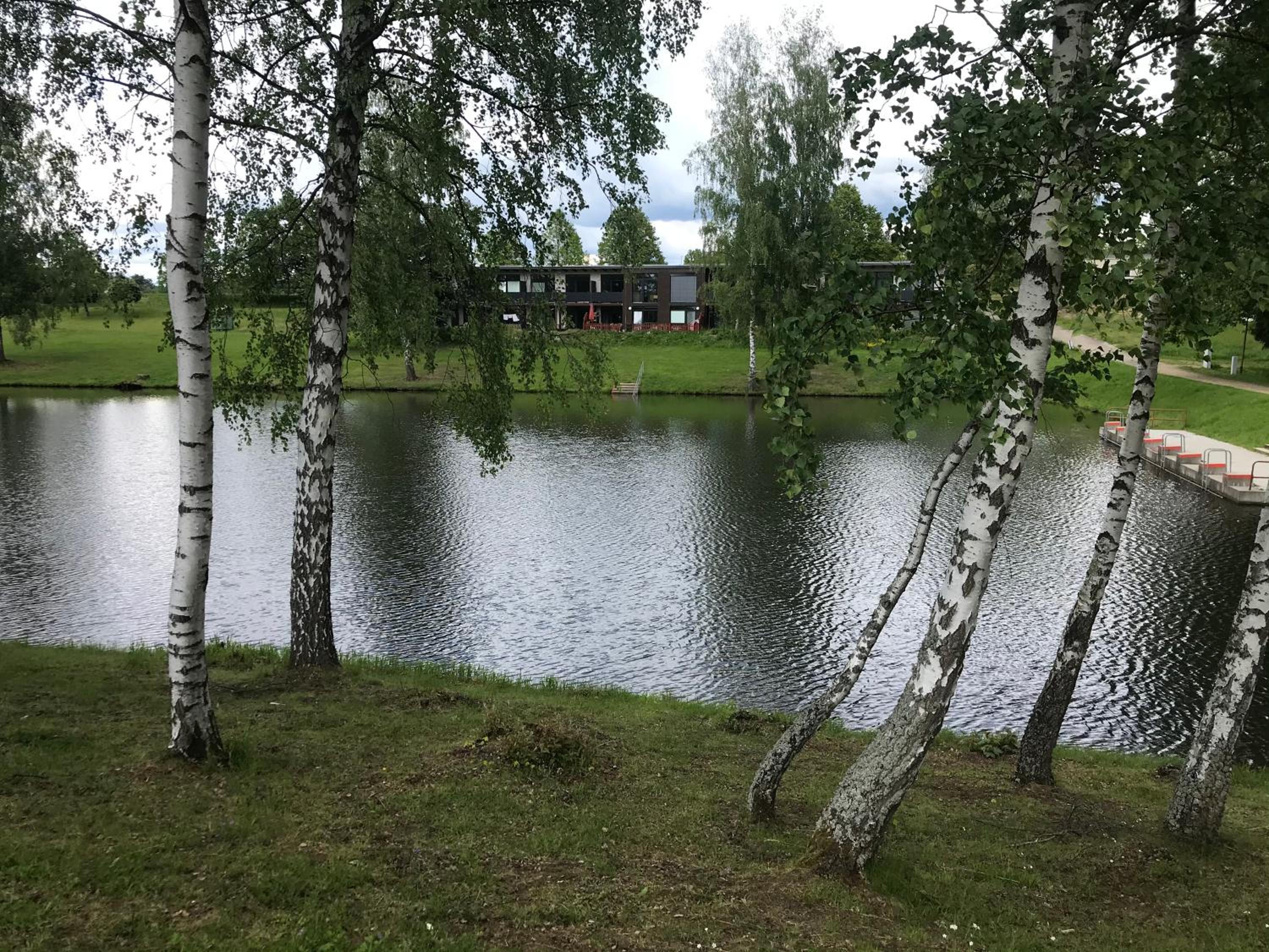 Photo 6