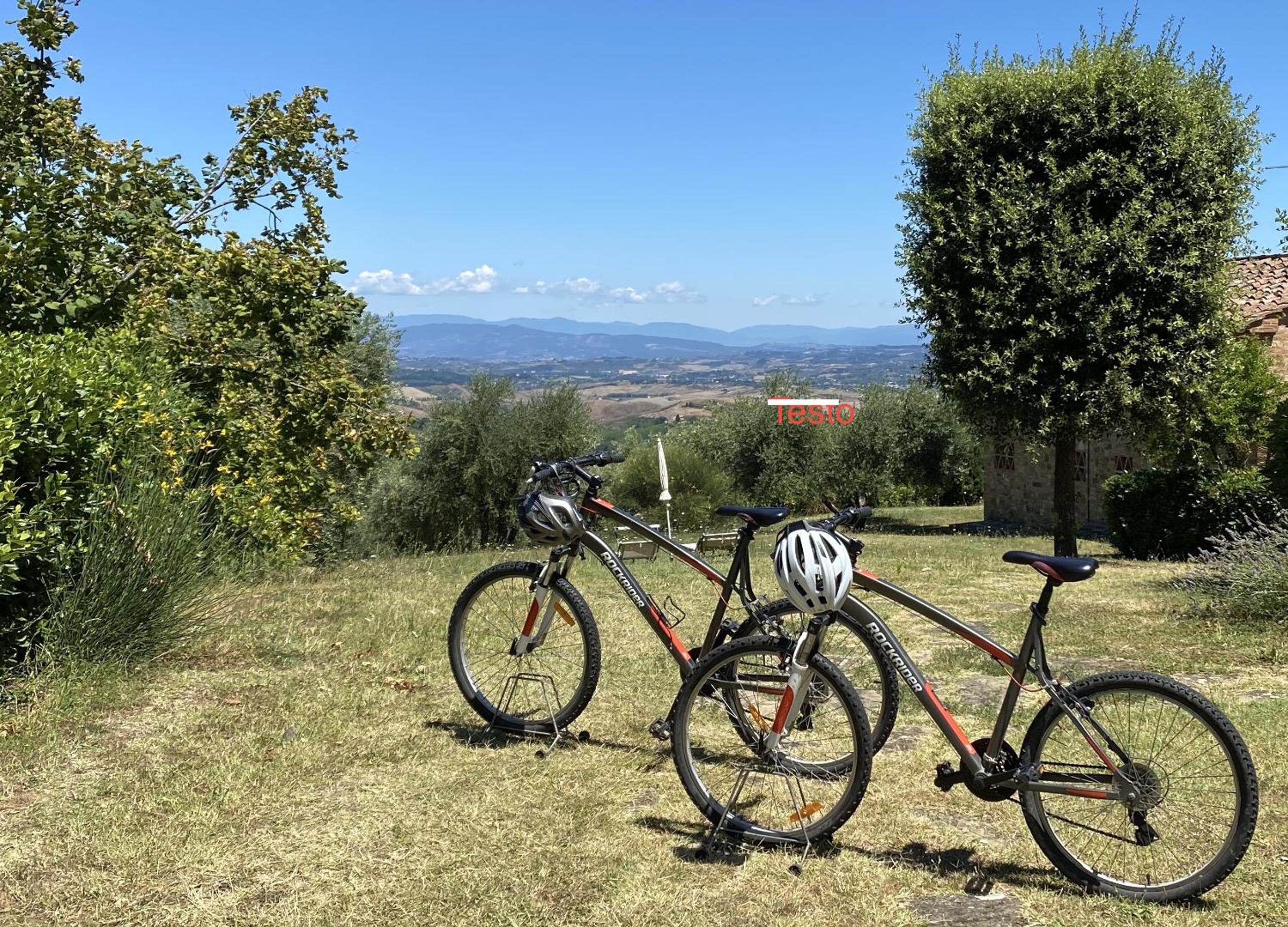 Agriturismo Rigone in Chianti