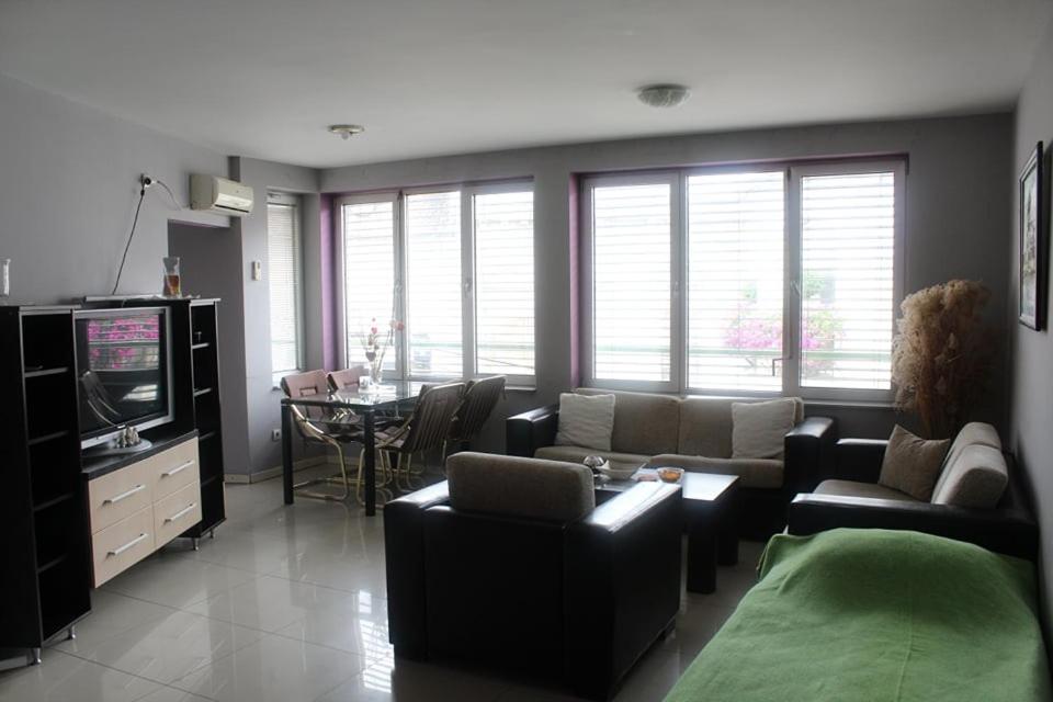 Apartman Natasa 1 view 4