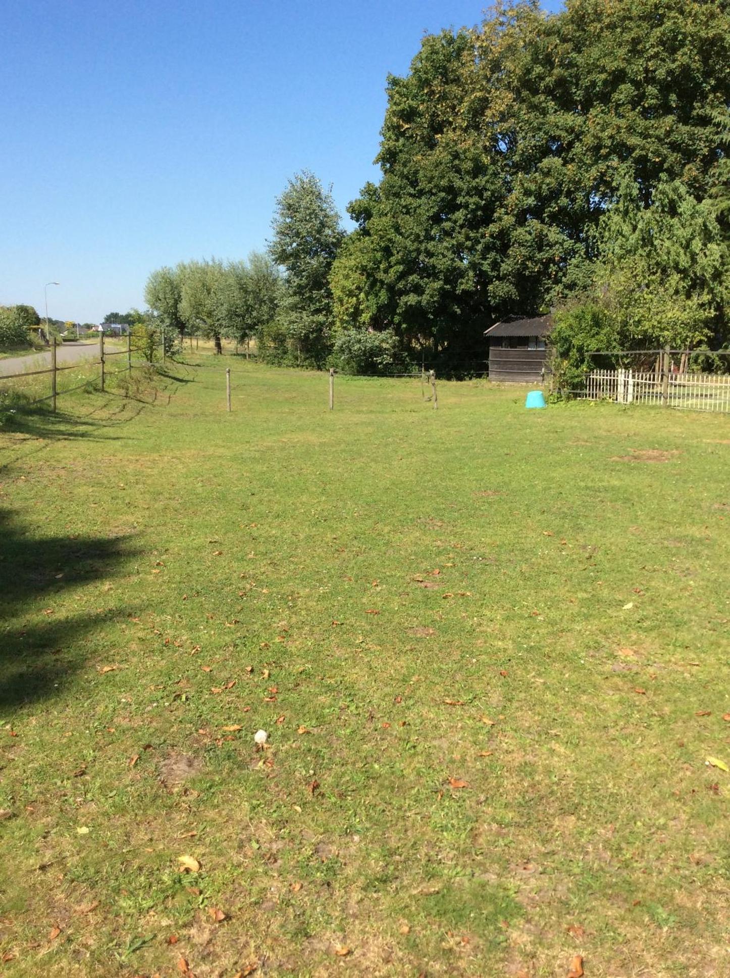 Photo 16