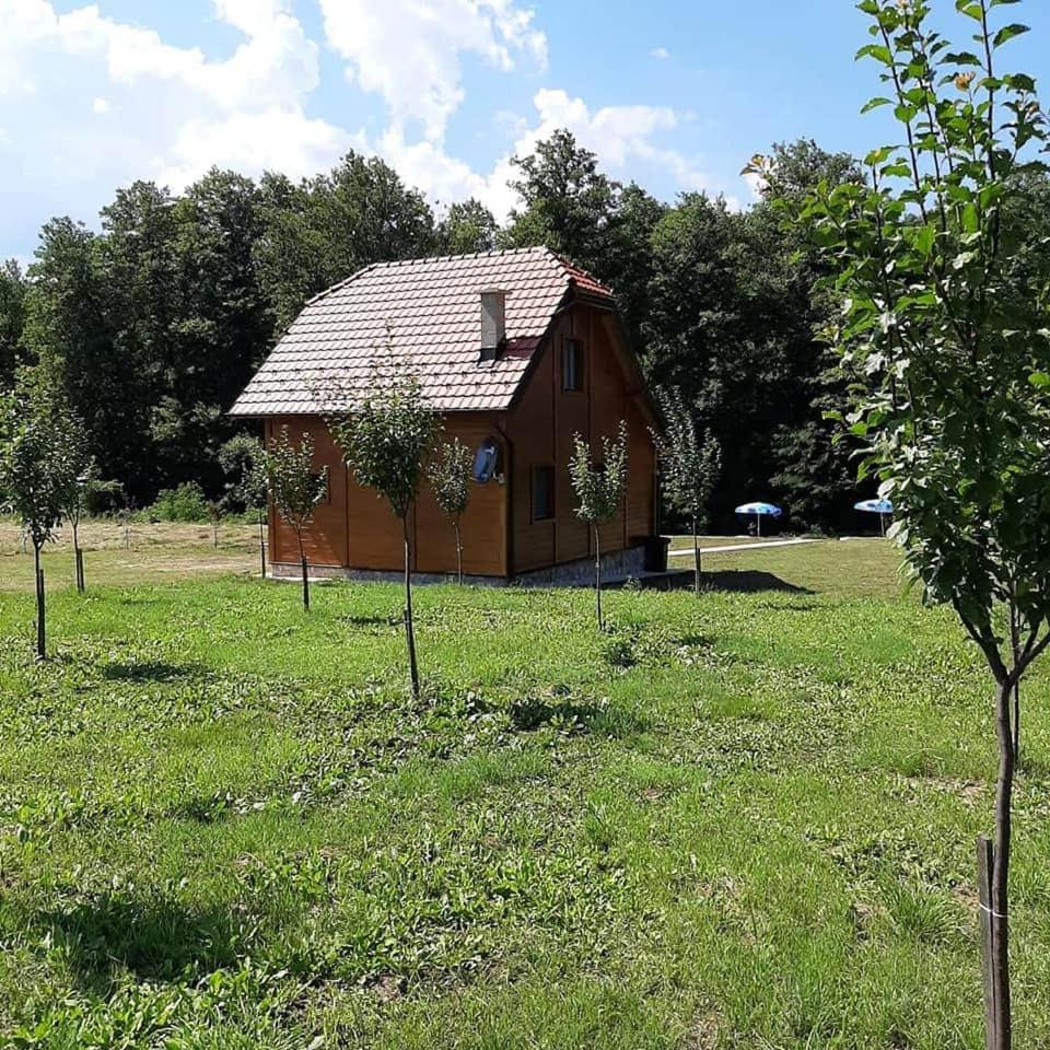 Photo 26