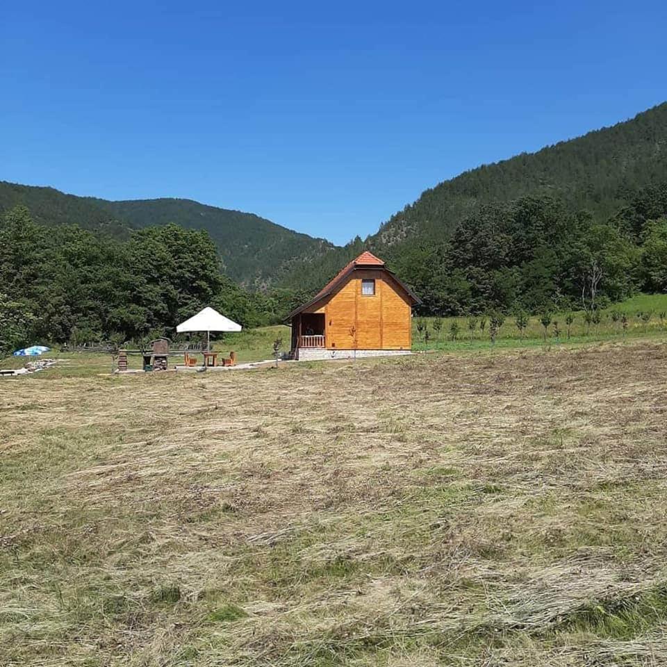 Photo 25