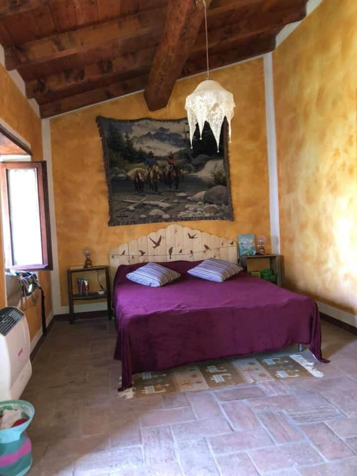 Bed and Breakfast Balli coi Lupi