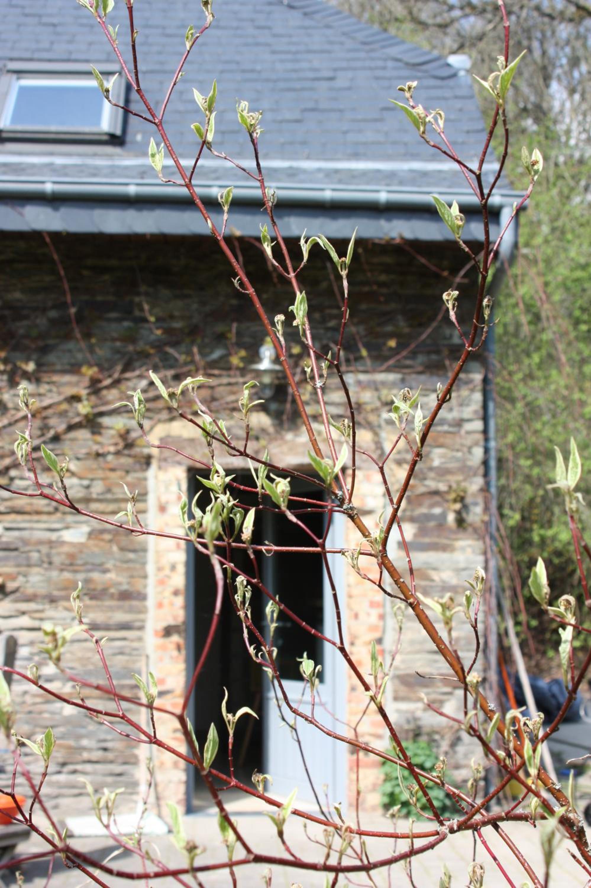 Photo 17