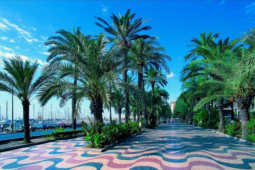 Charming apartment in Alicante near the sea & city center view 3