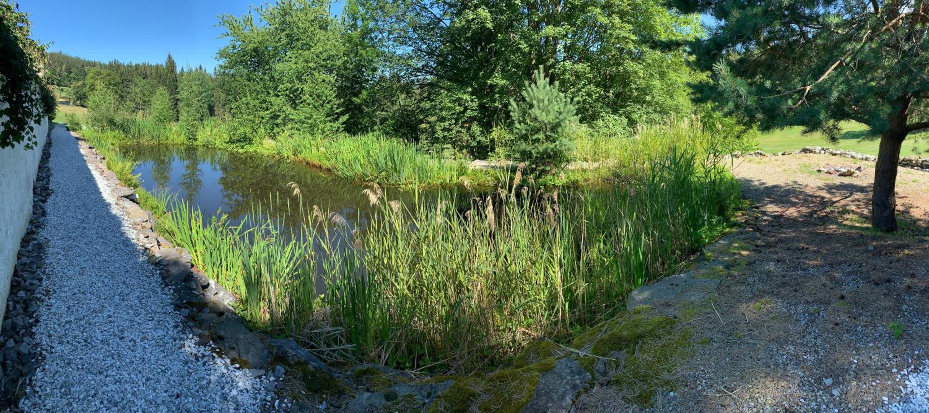 Photo 14
