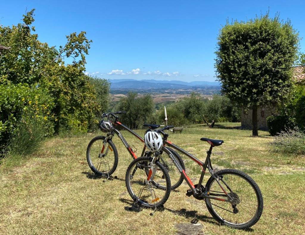 Agriturismo Rigone in Chianti