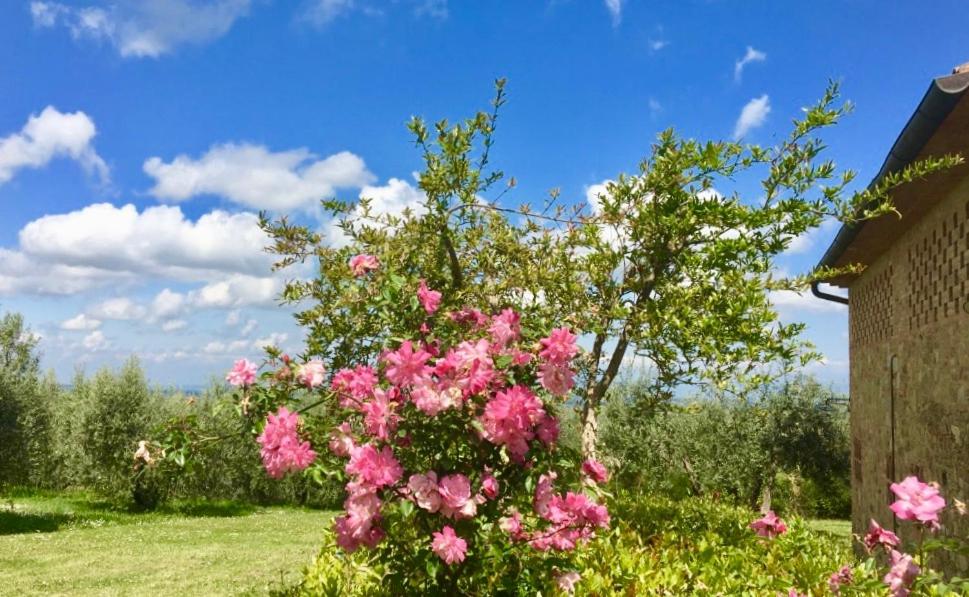 Agriturismo Rigone in Chianti