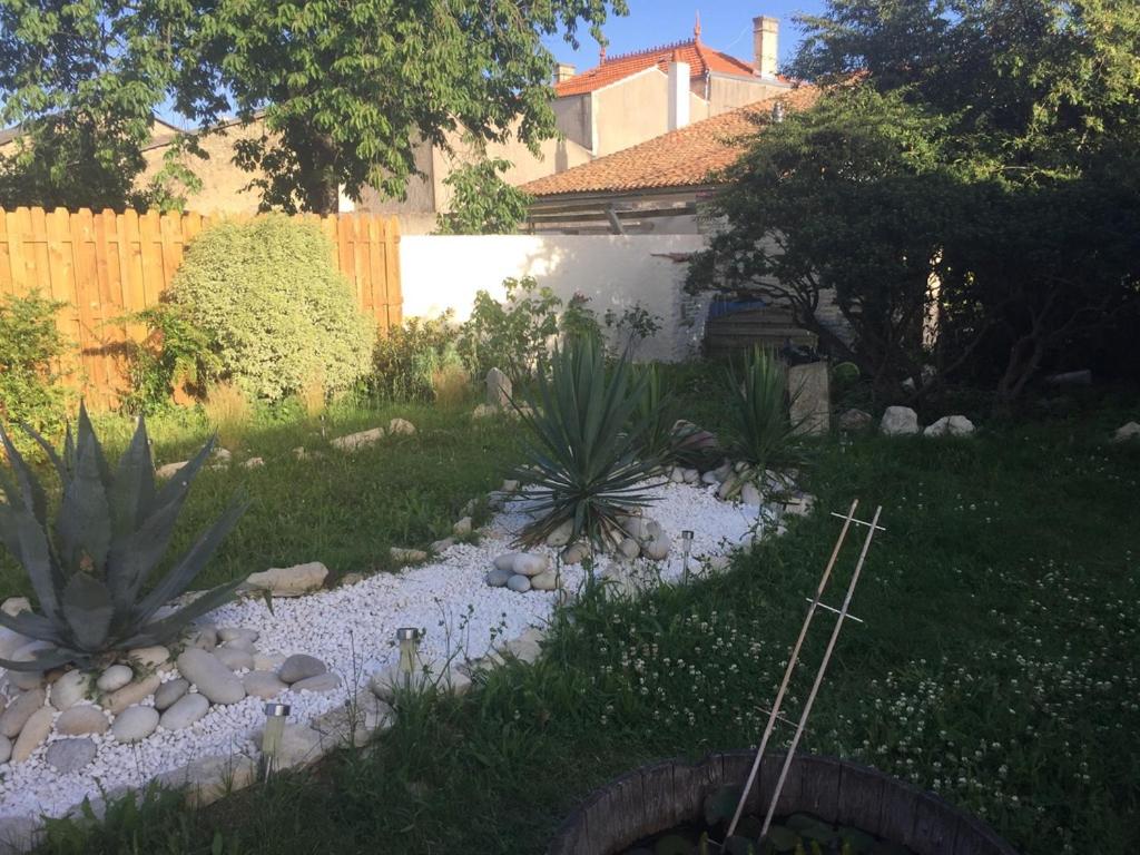 Photo 21