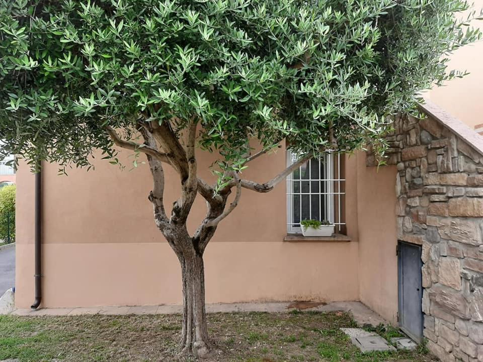 APPARTAMENTO LAKE GARDA ibiscus di Francia view 2