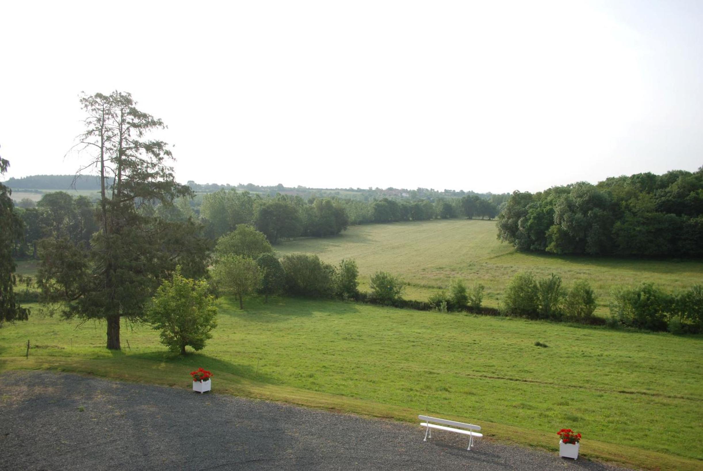 Photo 29