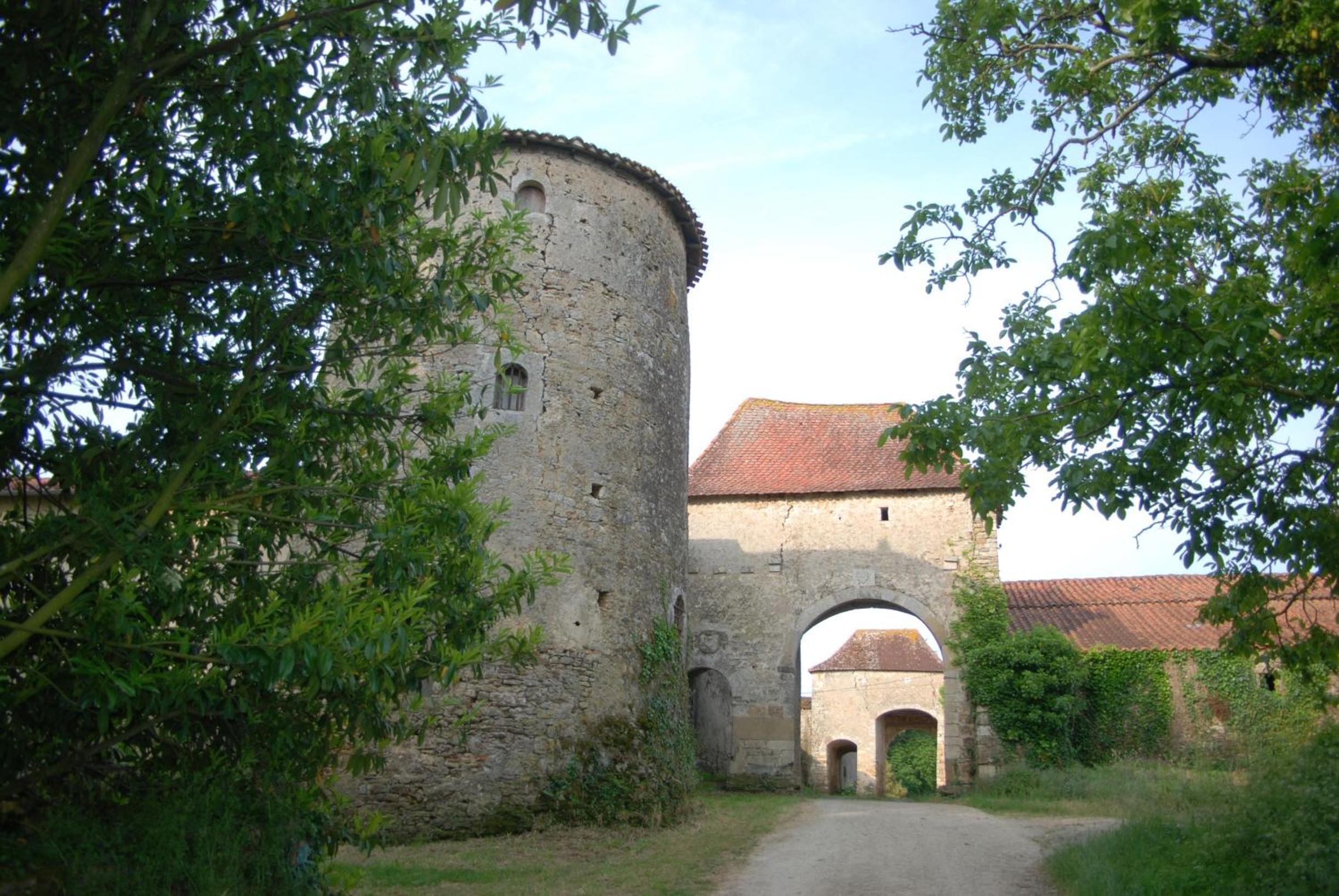 Photo 31