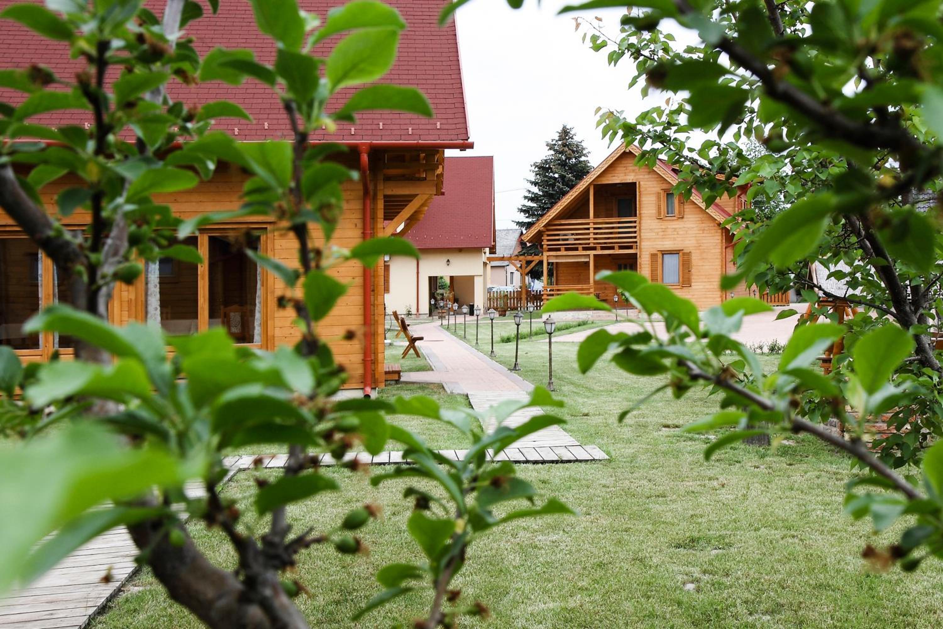Photo 11