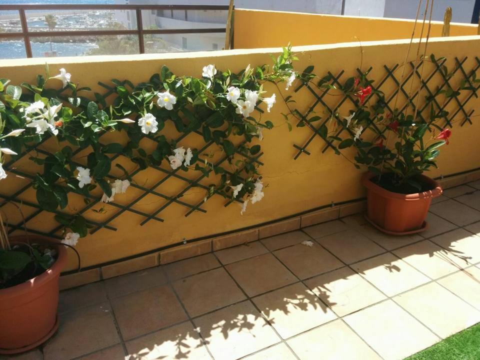 Photo 44