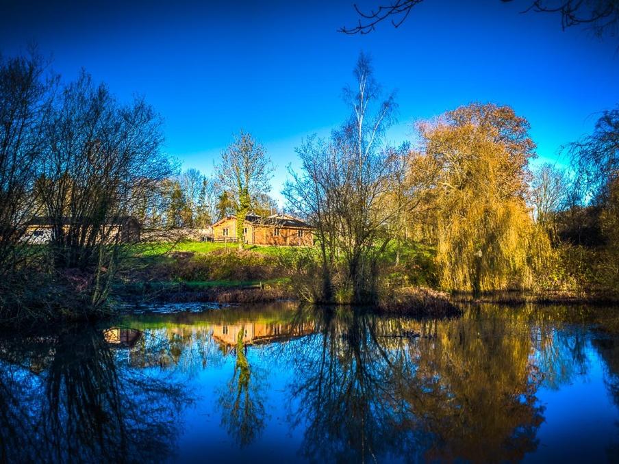 New Forest Lodges