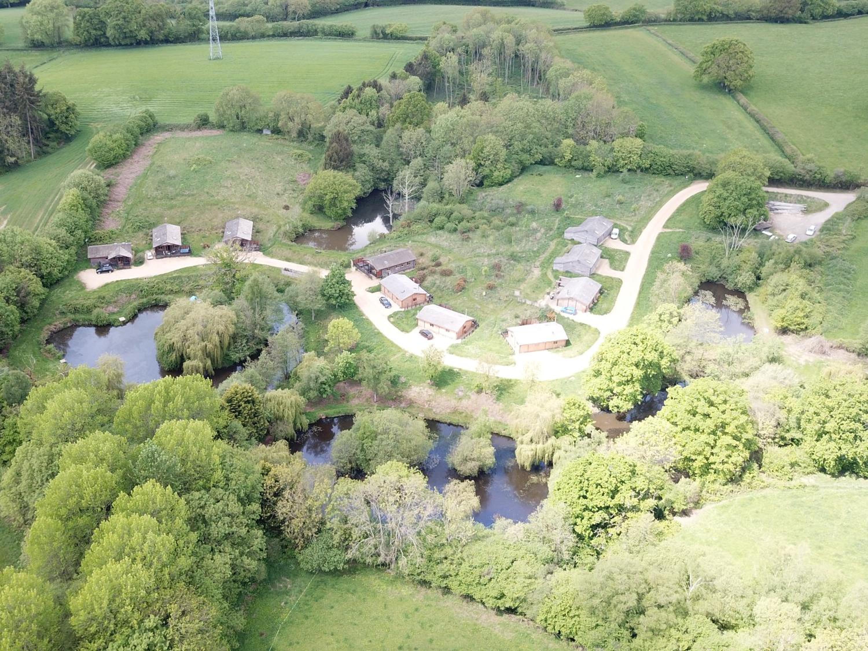 New Forest Lodges
