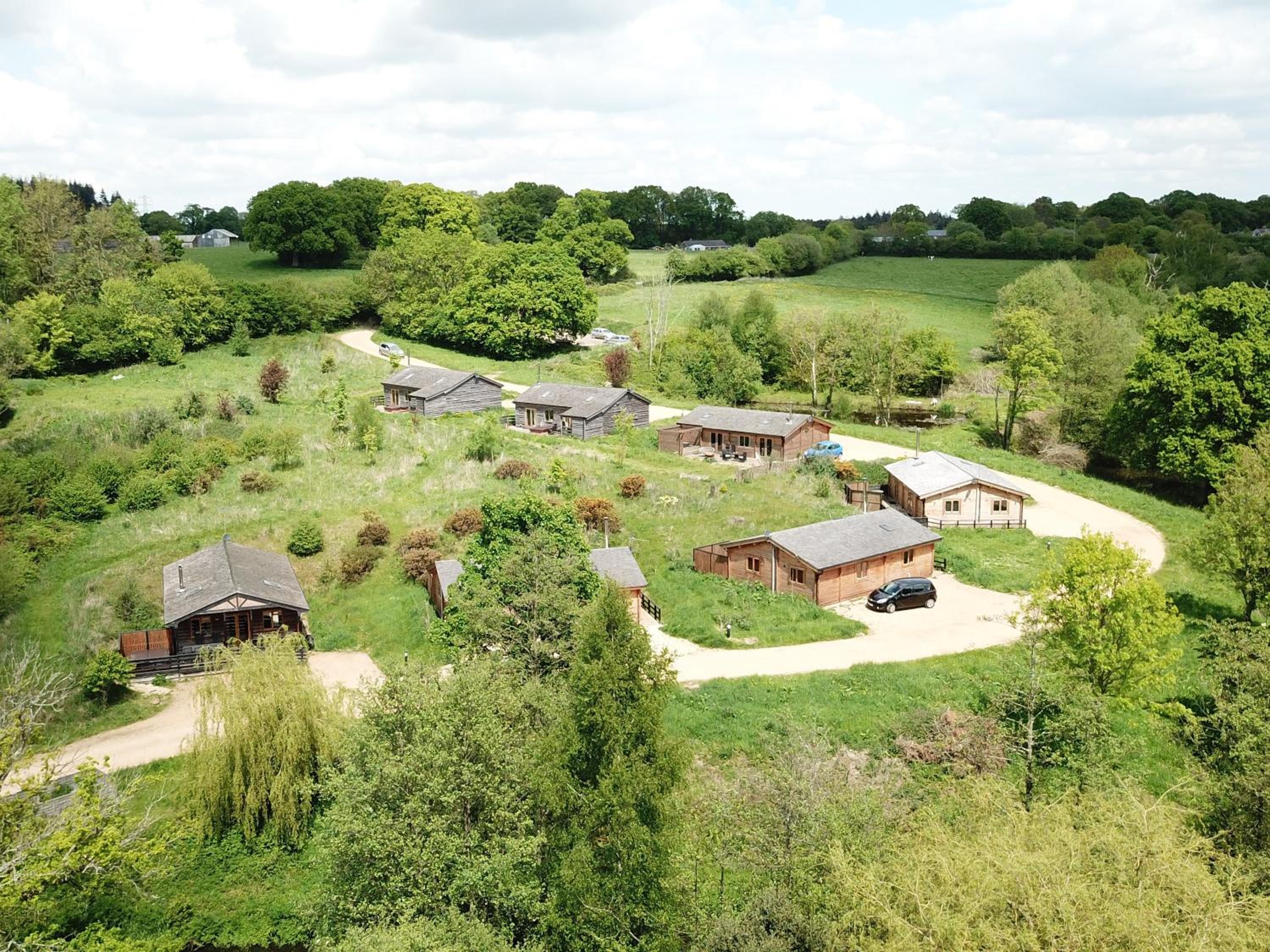 New Forest Lodges