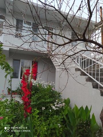 Apartment on Kobuleti beach. view 2