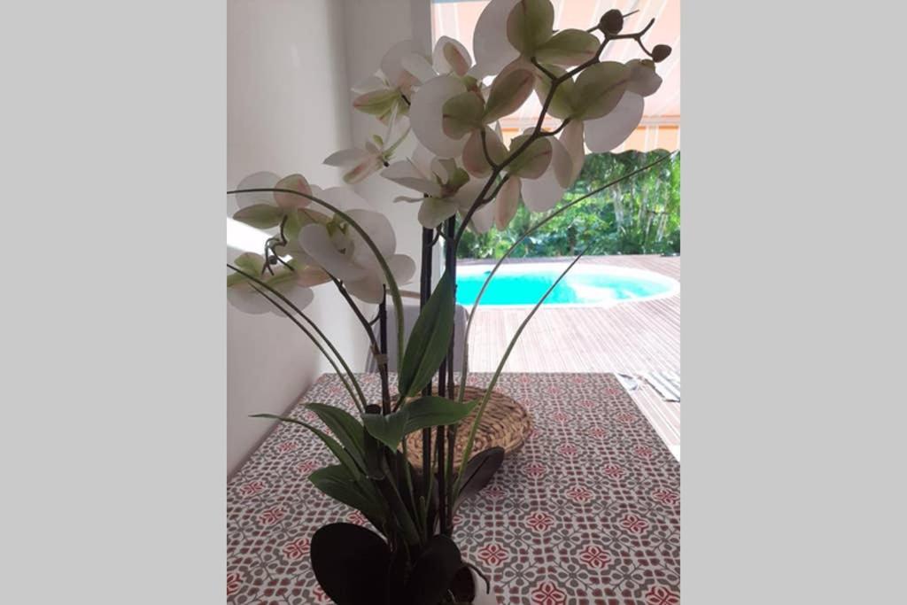 les orchidées