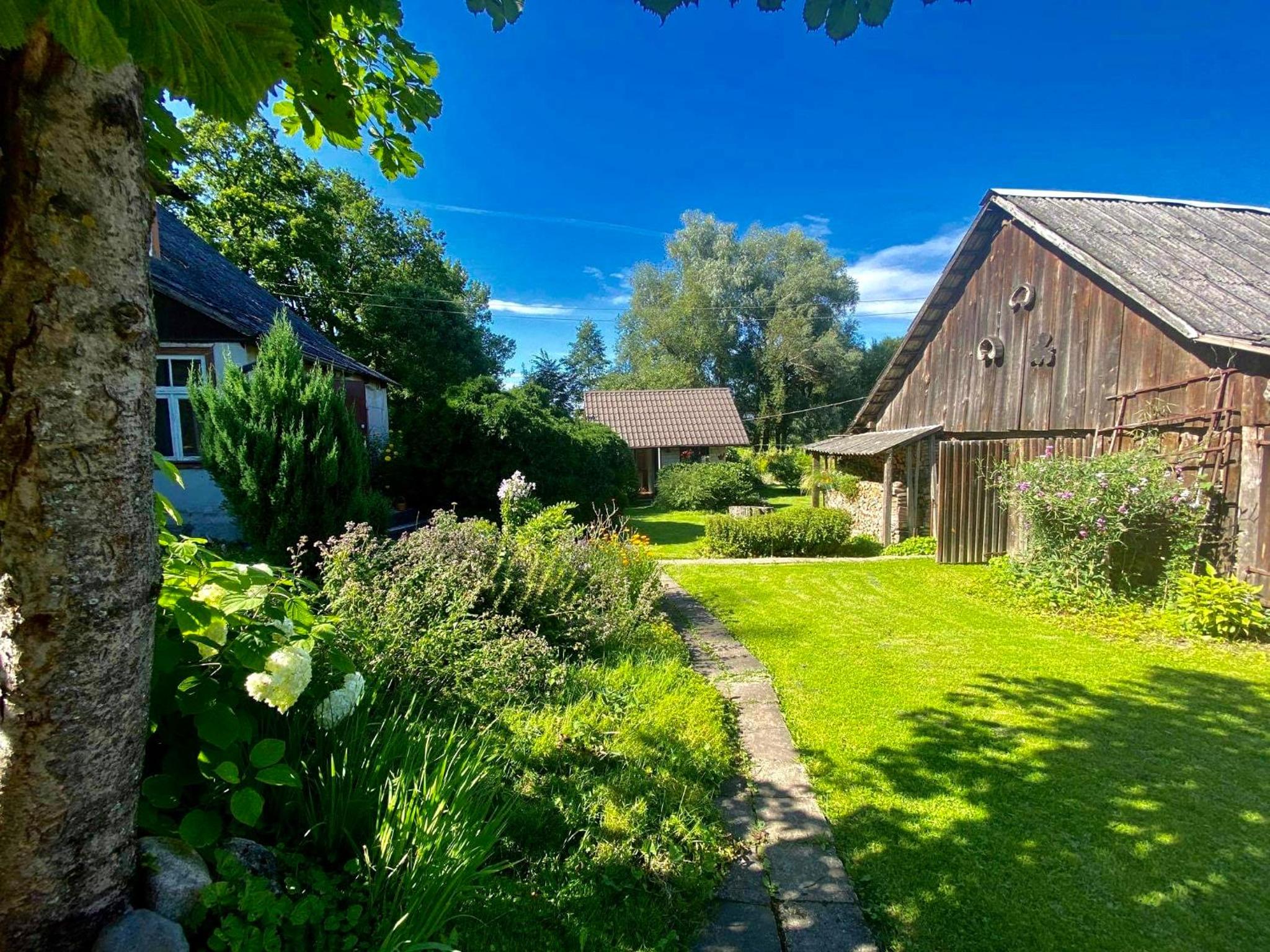 Bright and cosy place at rustic house view 5