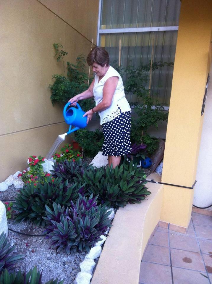 Photo 42