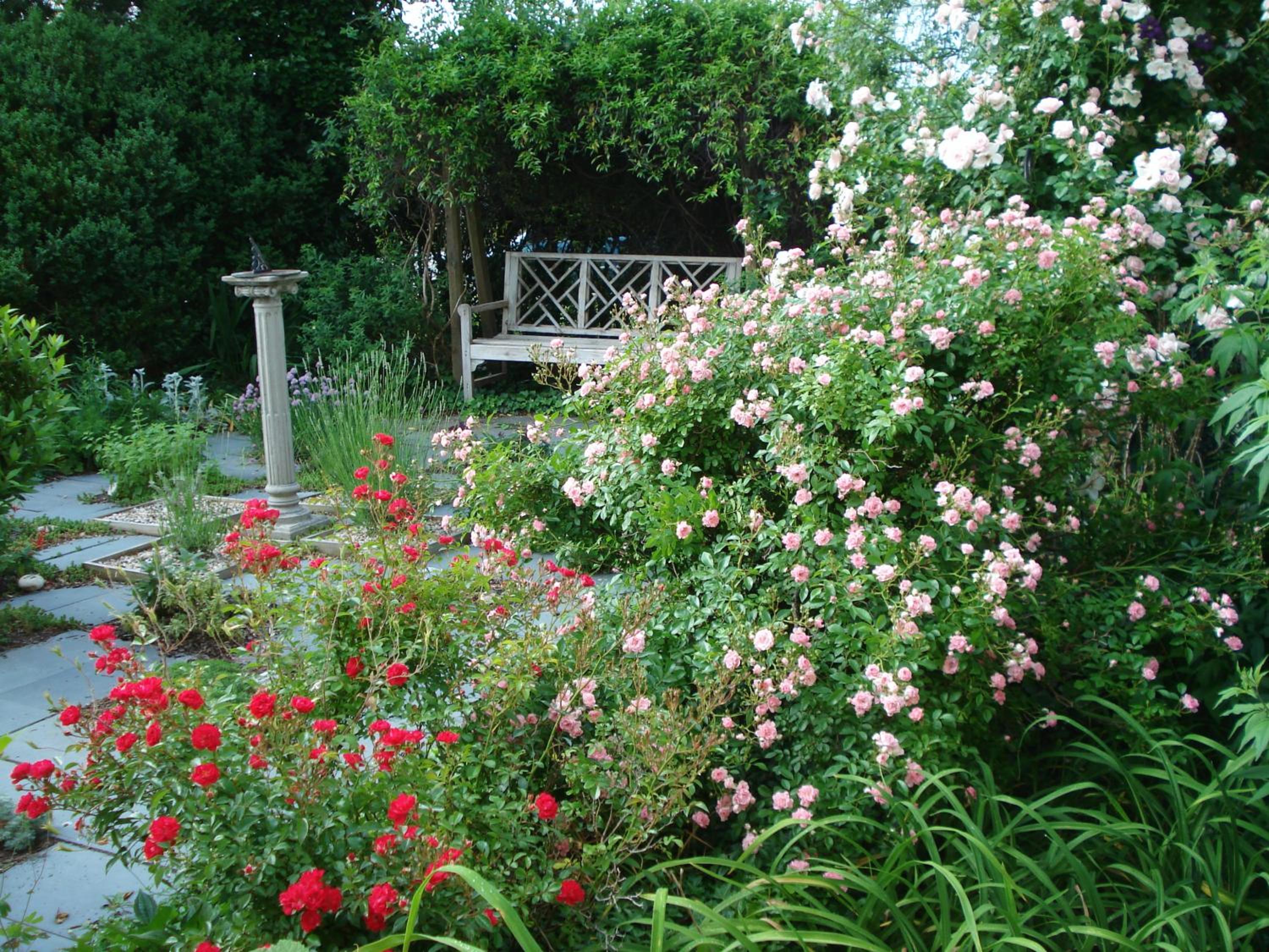 Newport House Bed & Breakfast view 3