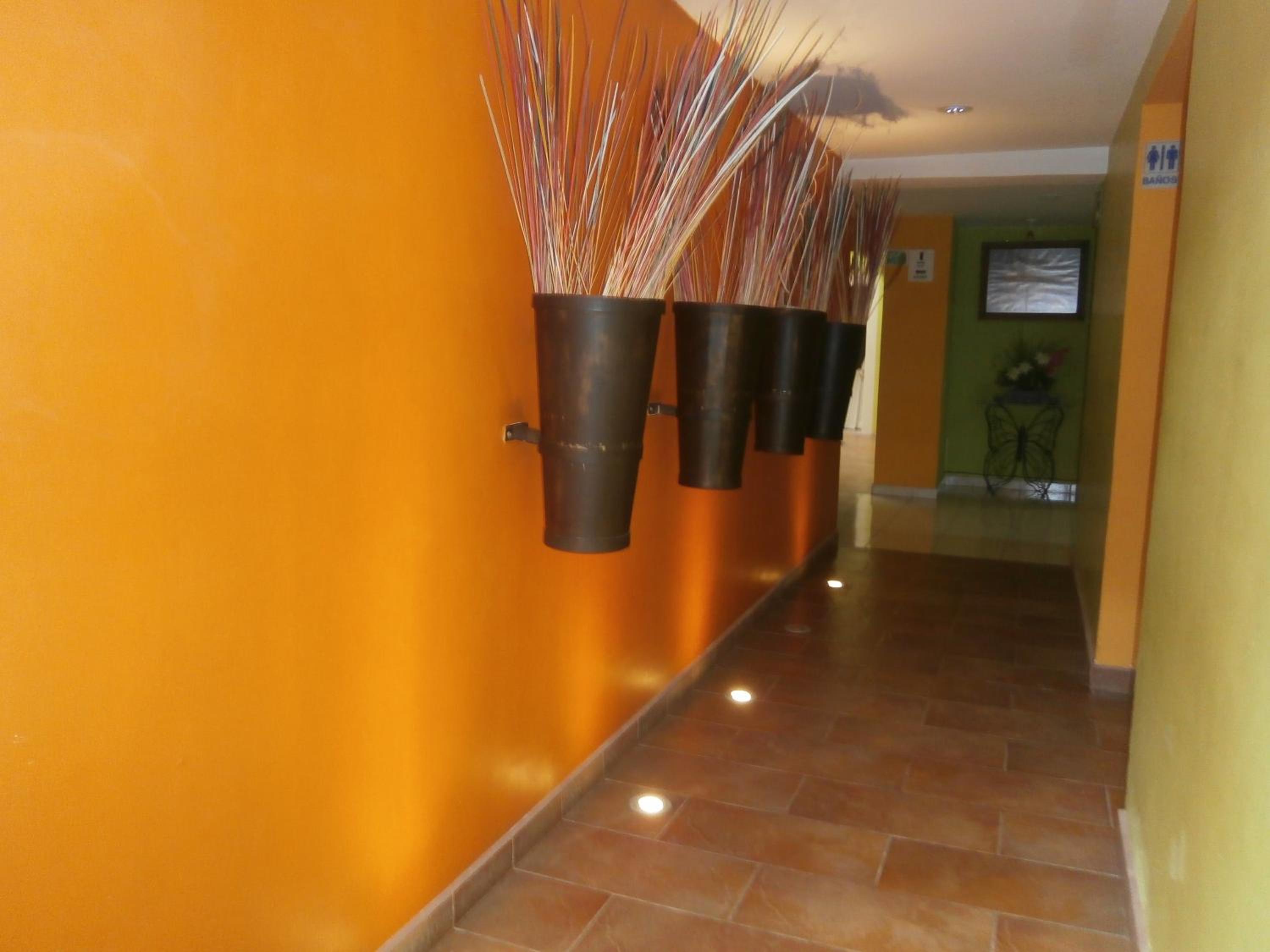 Hotel Anber, photo 42
