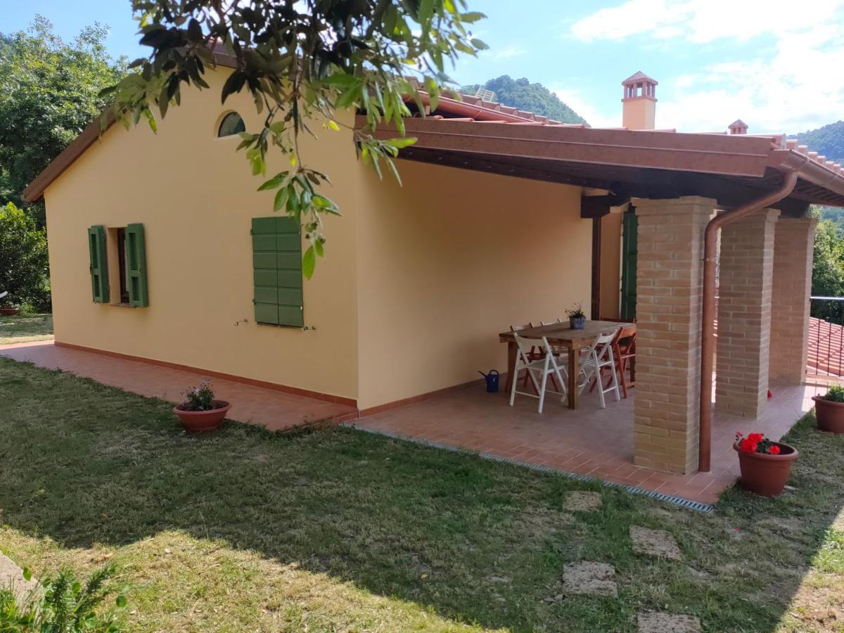 Villa sulle Colline Toscane con Piscina photo 2