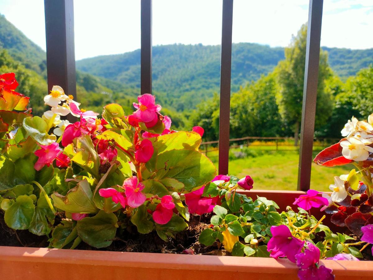 Villa sulle Colline Toscane con Piscina photo 4